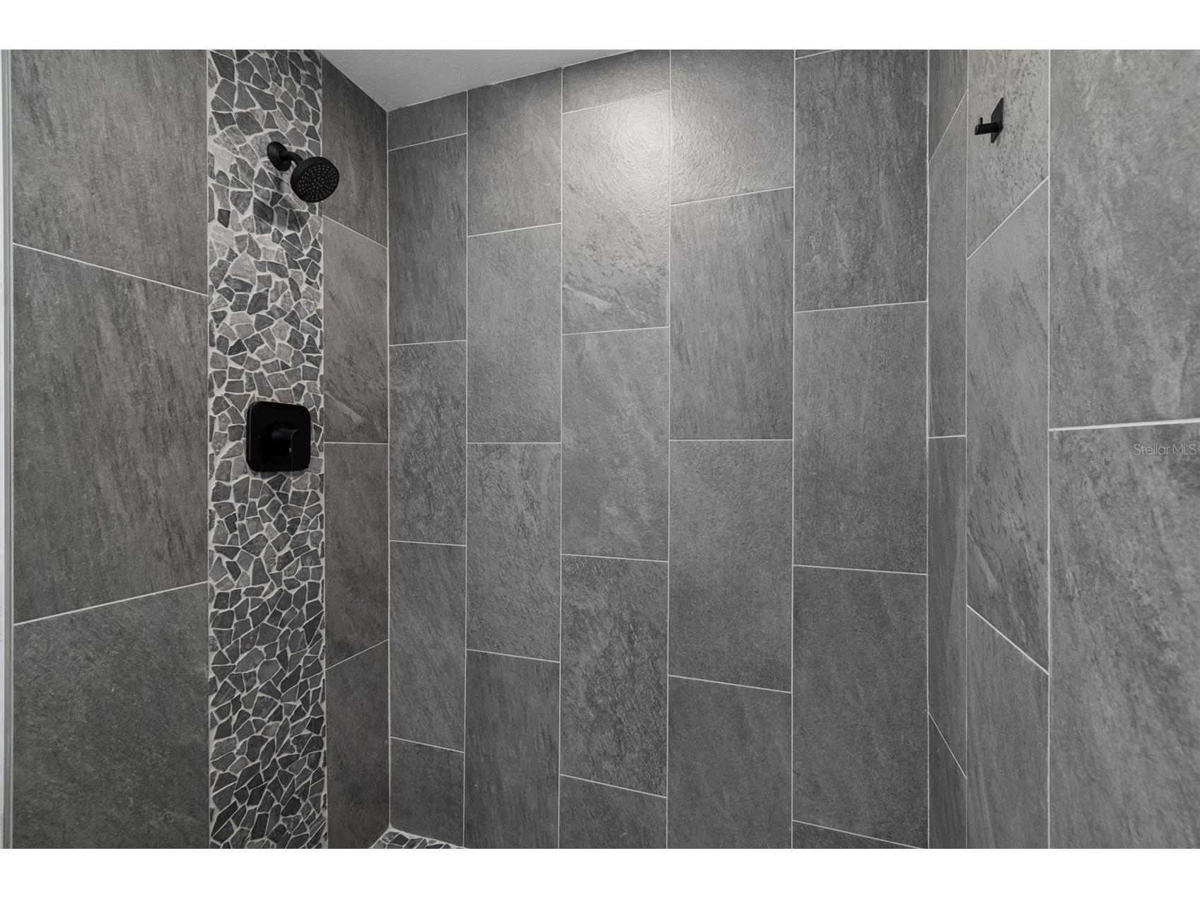 3725 Ambermist Drive Tampa FL 33619 TB8515572 image29