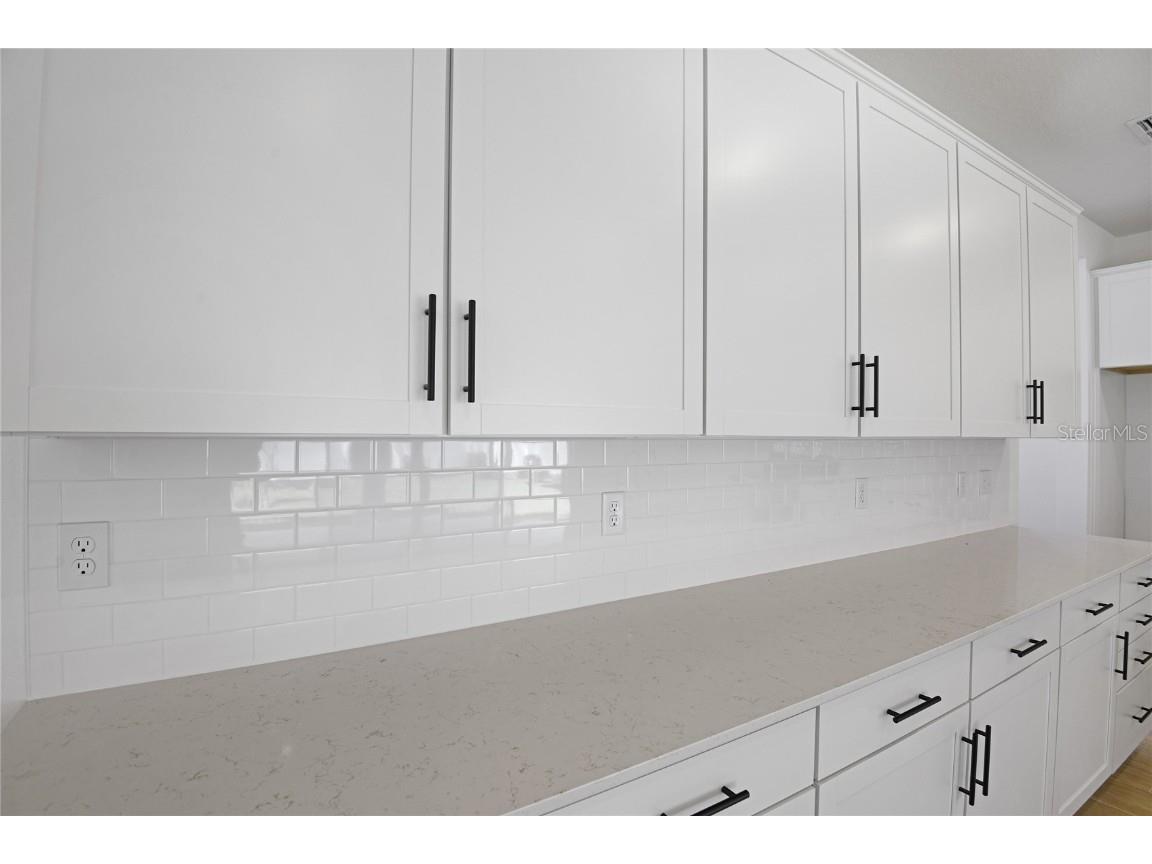 3725 Deer Ridge Drive Mount Dora FL 32757 S5121362 image5