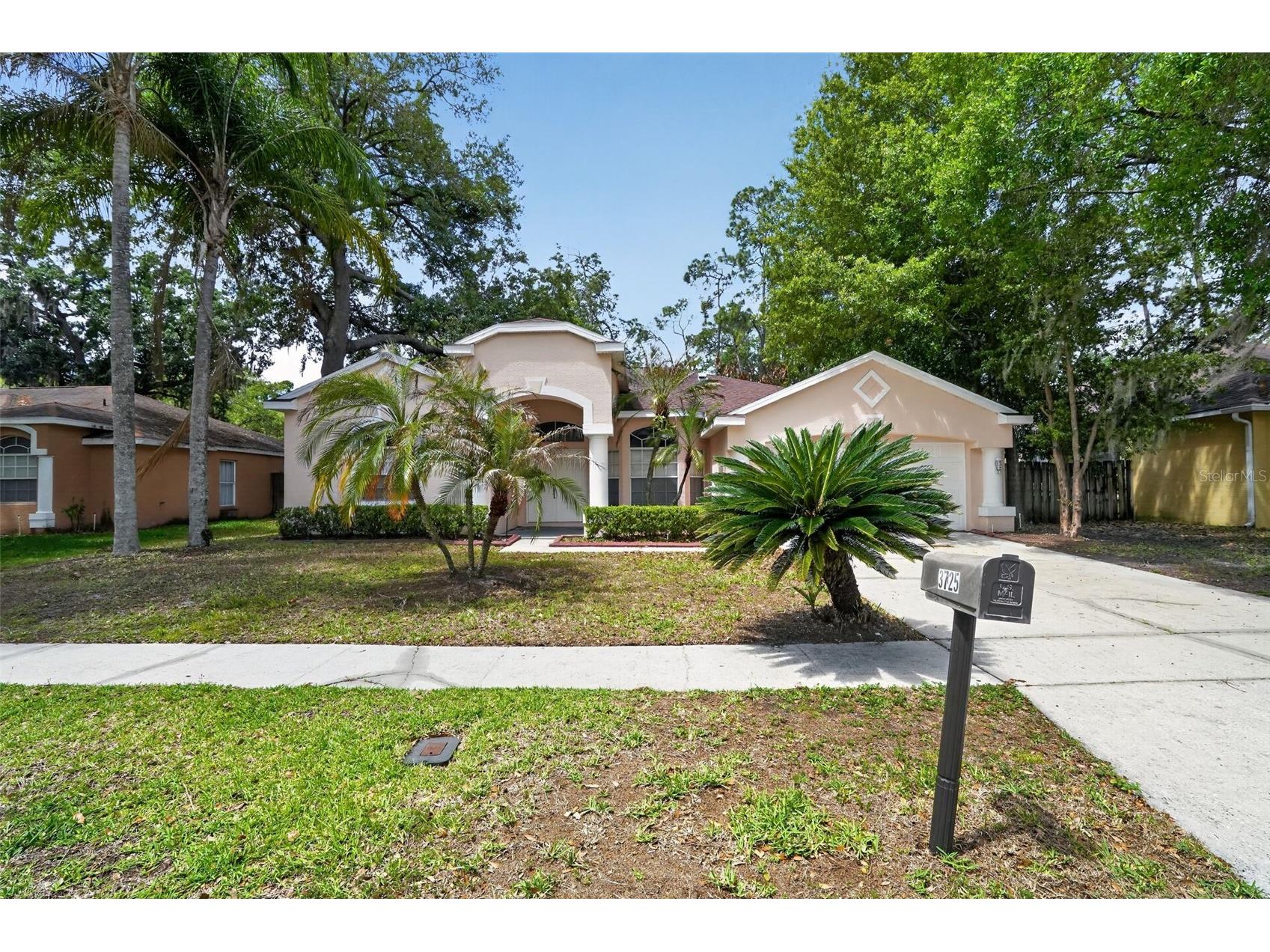 3725 Hollow Wood Drive Valrico FL 33596 TB8493518 image2