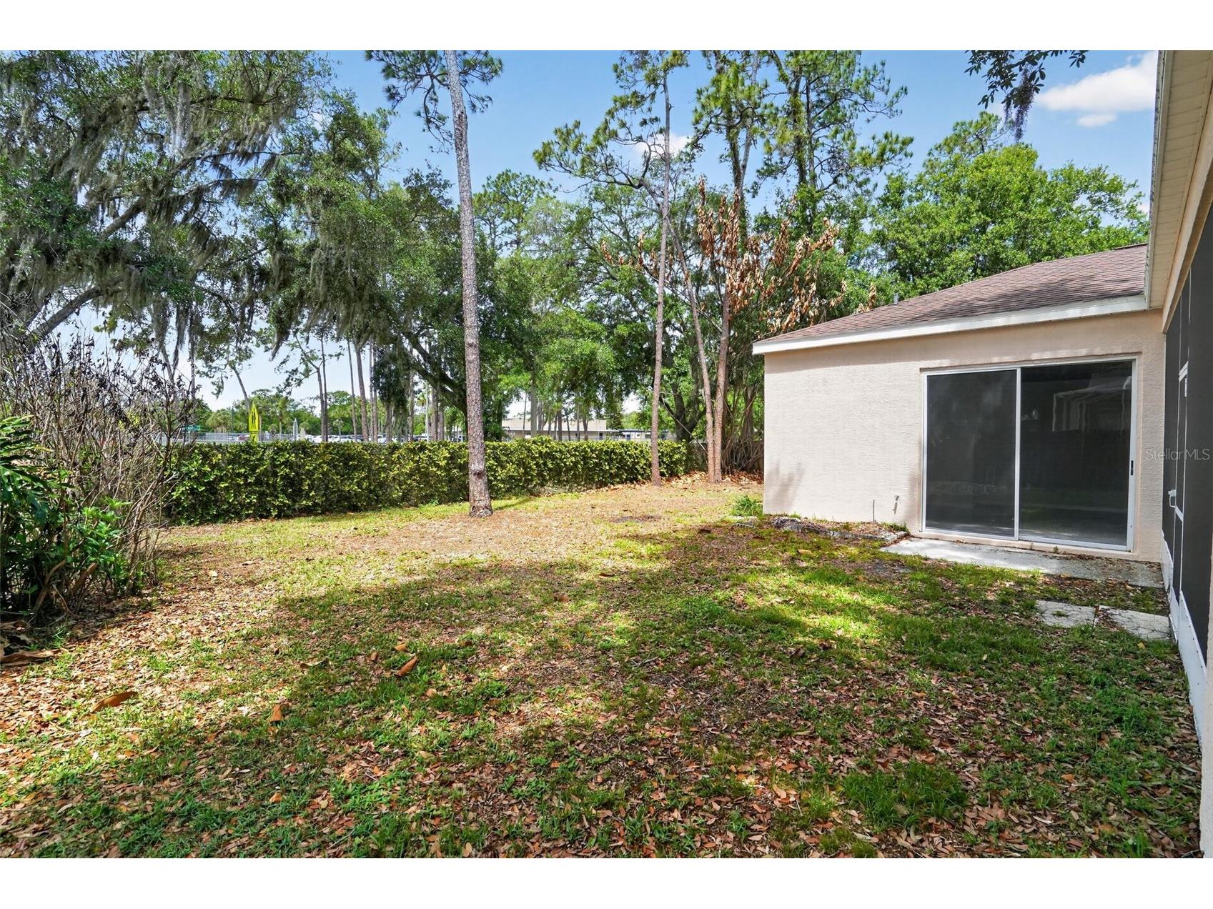 3725 Hollow Wood Drive Valrico FL 33596 TB8493518 image33
