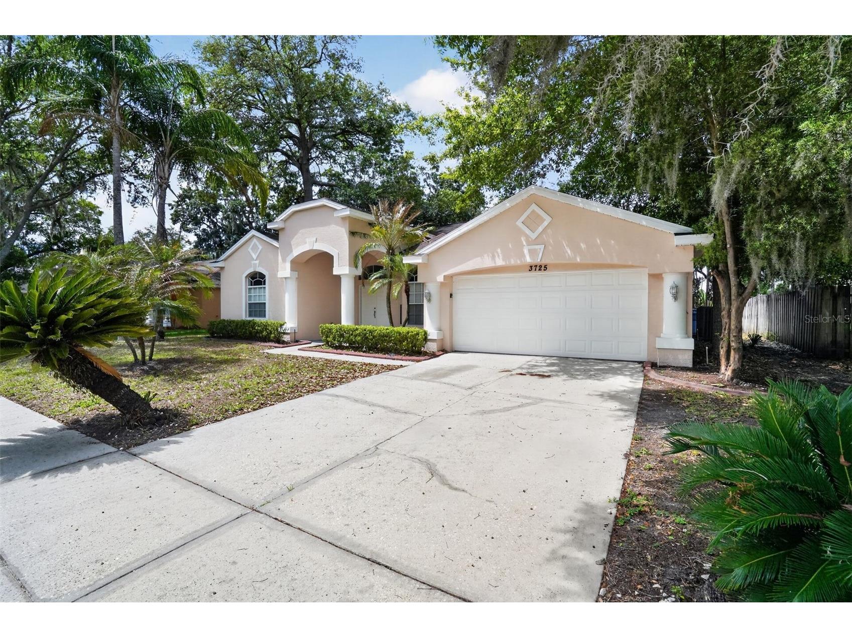3725 Hollow Wood Drive Valrico FL 33596 TB8493518 image35