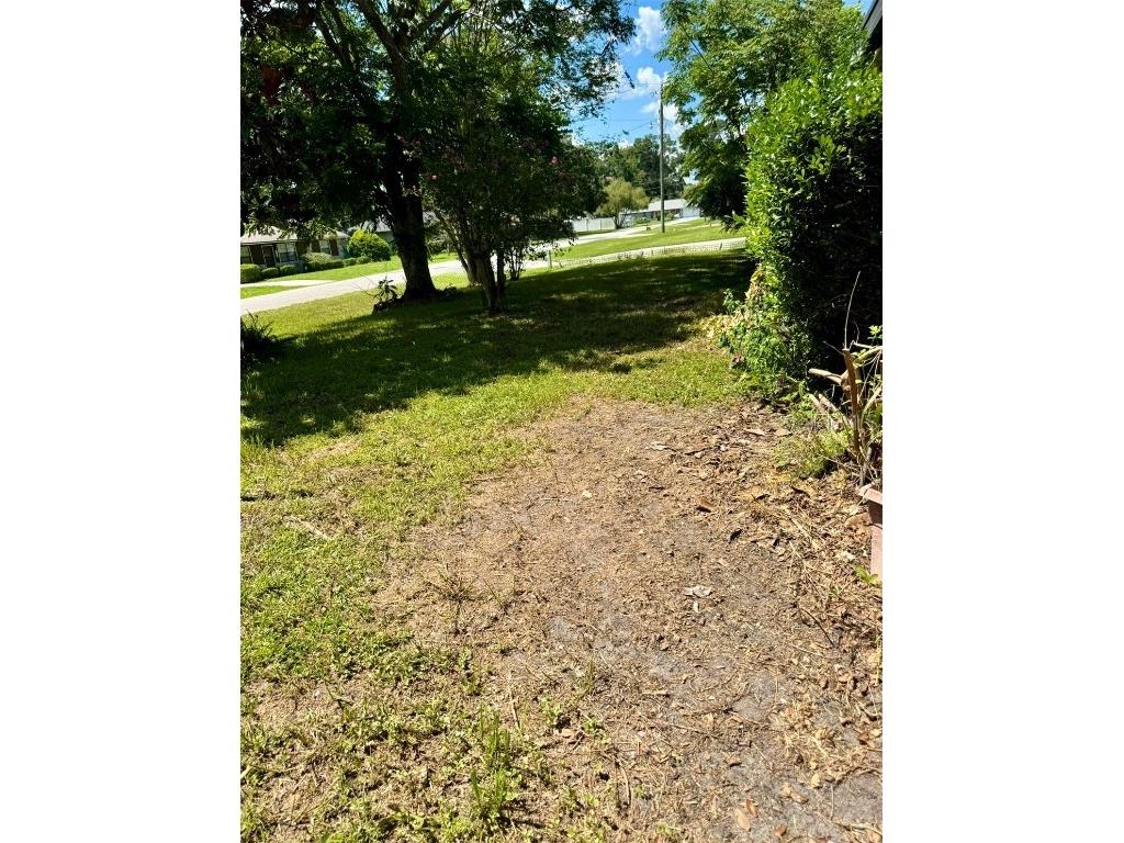 3725 NE 18th Avenue Ocala FL 34479 OM706558 image34