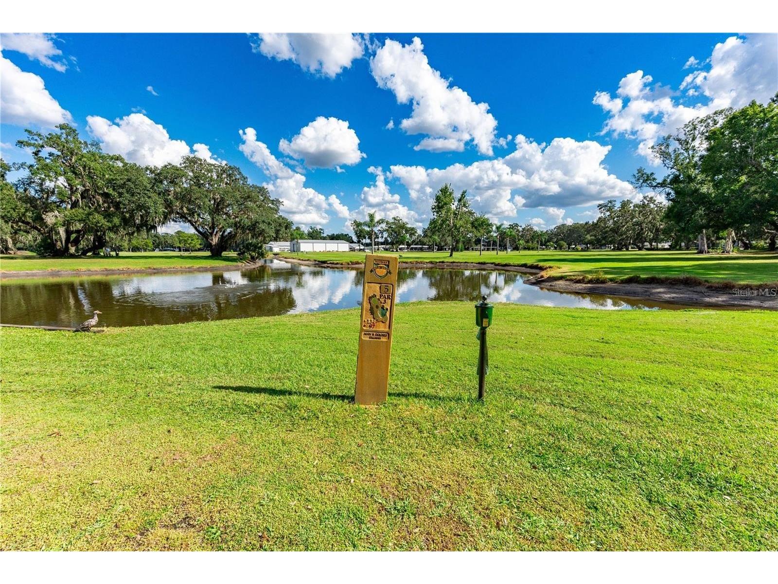 37250 Beverly Avenue Zephyrhills FL 33542 TB8514097 image30