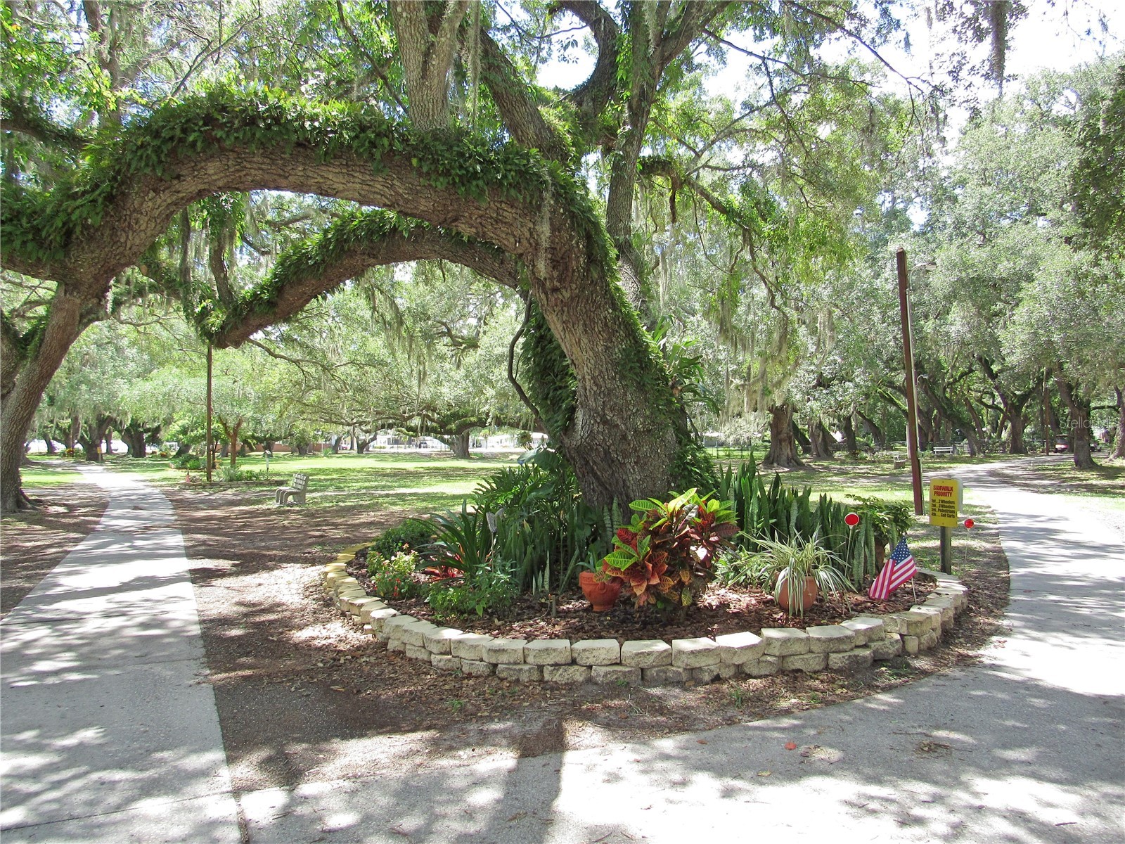 37250 Beverly Avenue Zephyrhills FL 33542 TB8514097 image45