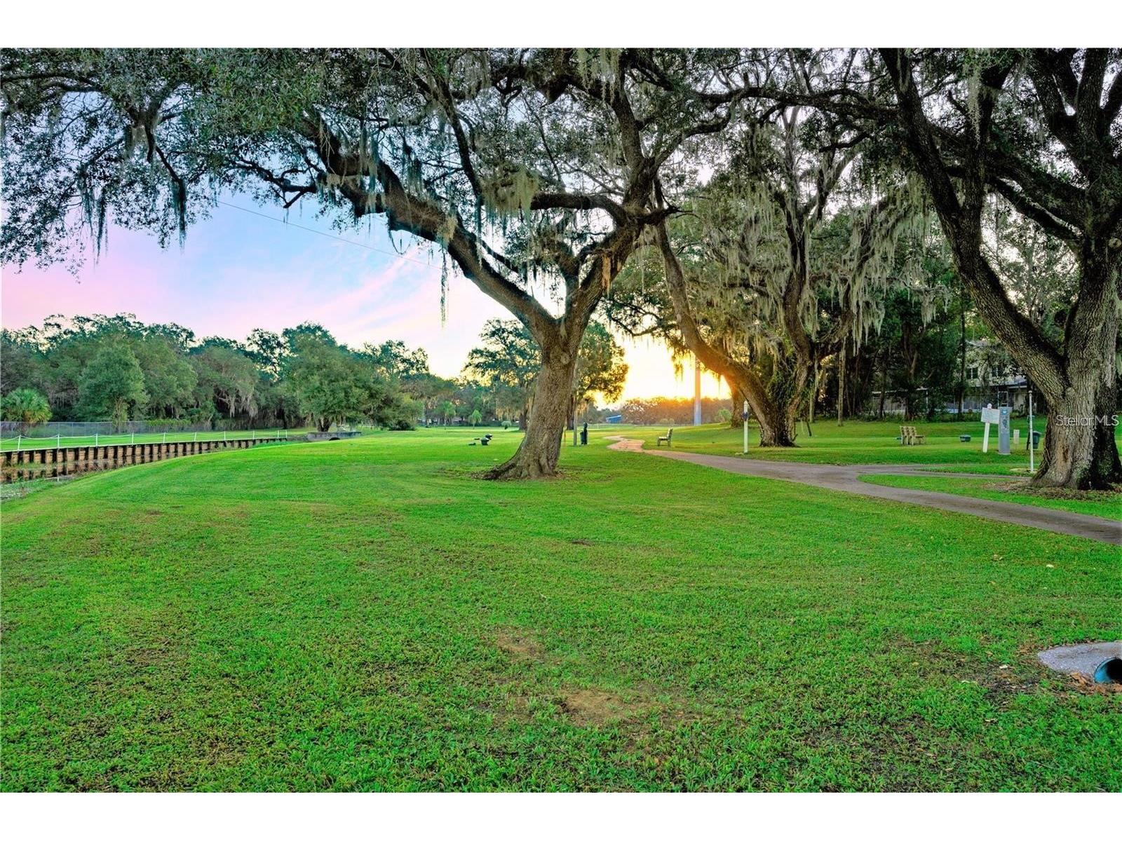 37250 Beverly Avenue Zephyrhills FL 33542 TB8514097 image47