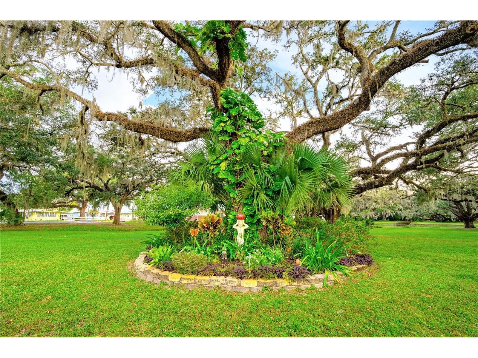 37250 Beverly Avenue Zephyrhills FL 33542 TB8514097 image48