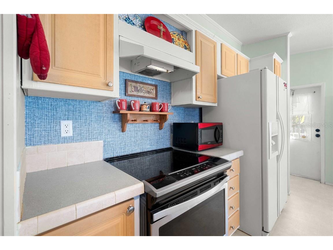 37251 Lois Avenue Zephyrhills FL 33542 TB8448252 image10