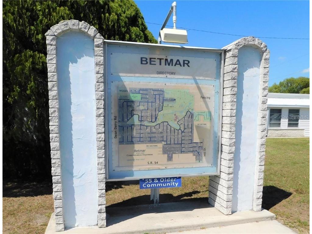 37251 Lois Avenue Zephyrhills FL 33542 TB8448252 image23