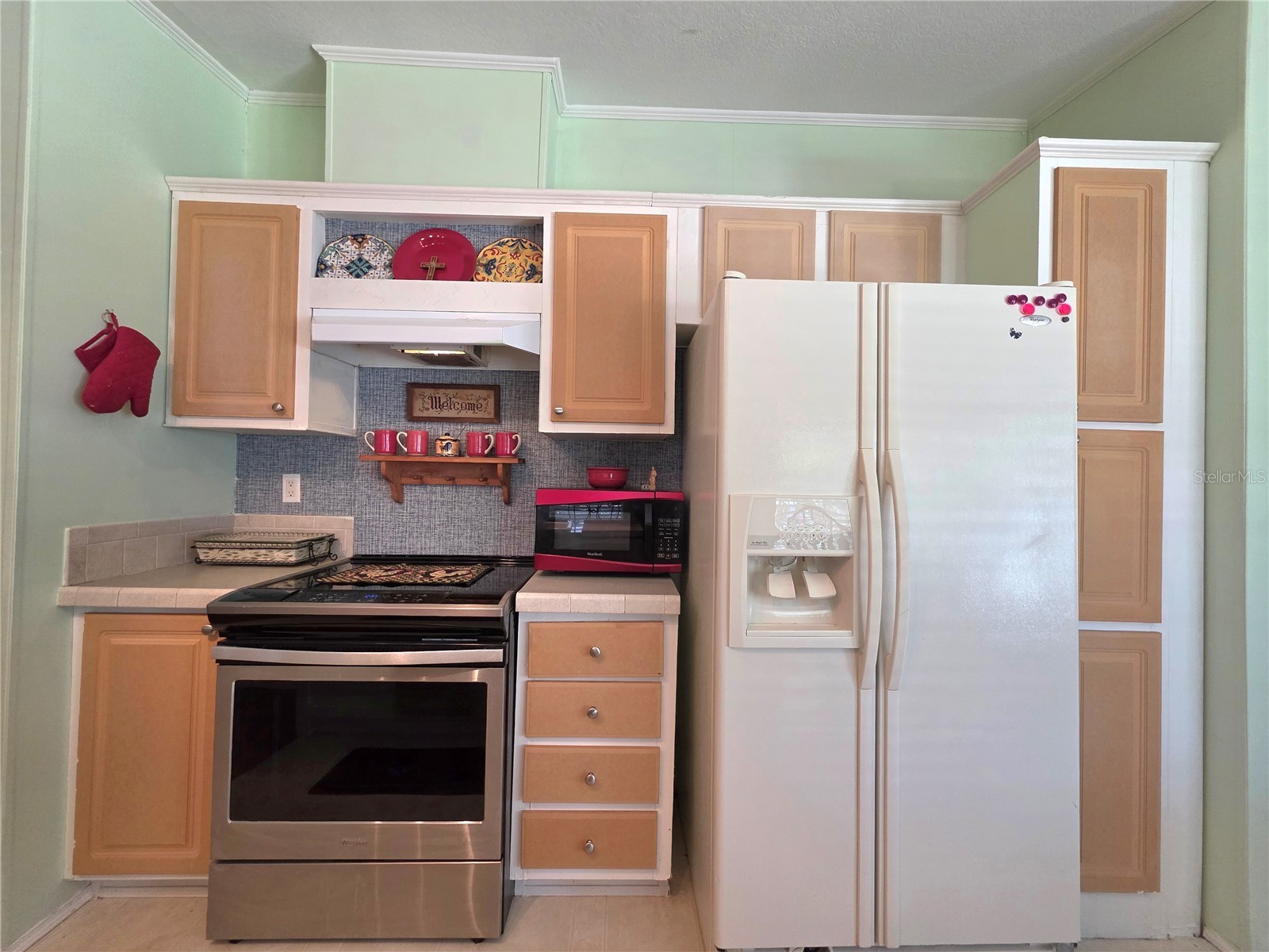37251 Lois Avenue Zephyrhills FL 33542 TB8500623 image13