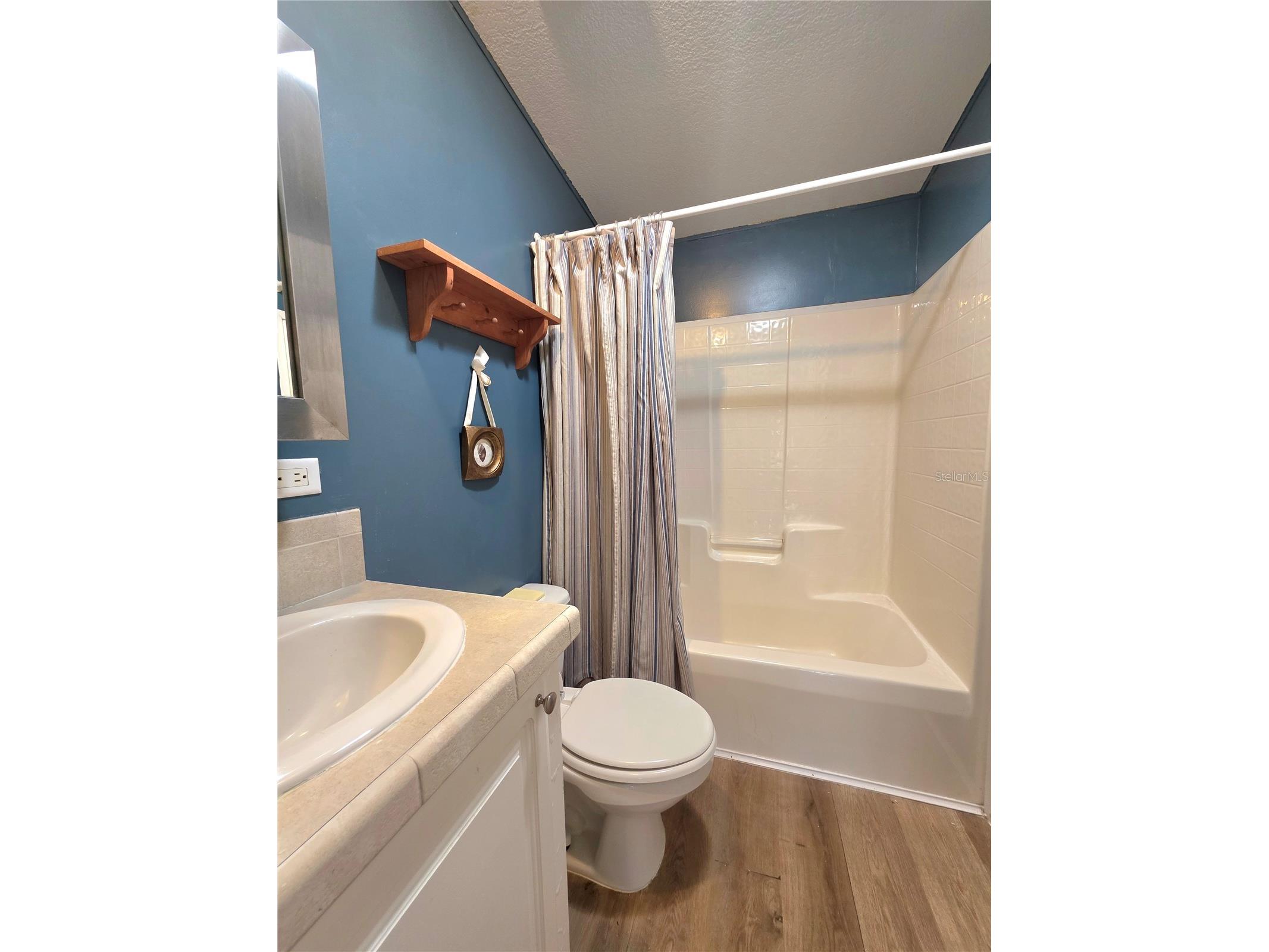 37251 Lois Avenue Zephyrhills FL 33542 TB8500623 image26