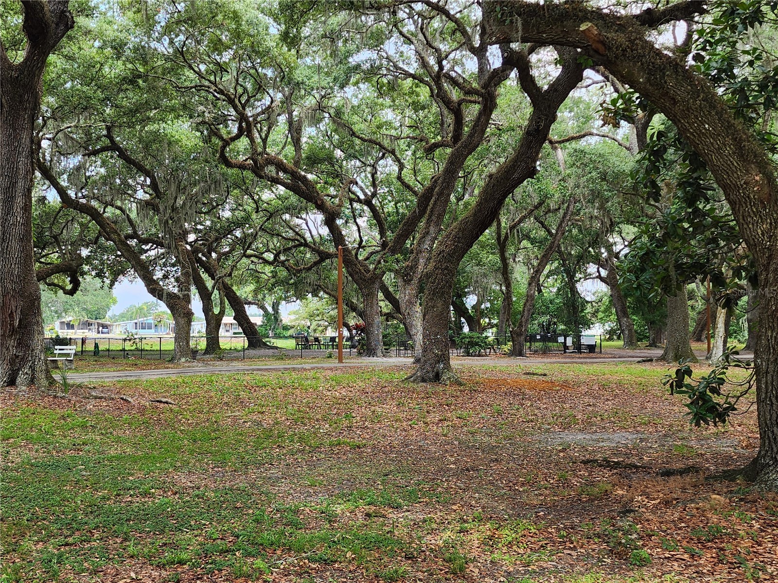 37251 Lois Avenue Zephyrhills FL 33542 TB8500623 image43