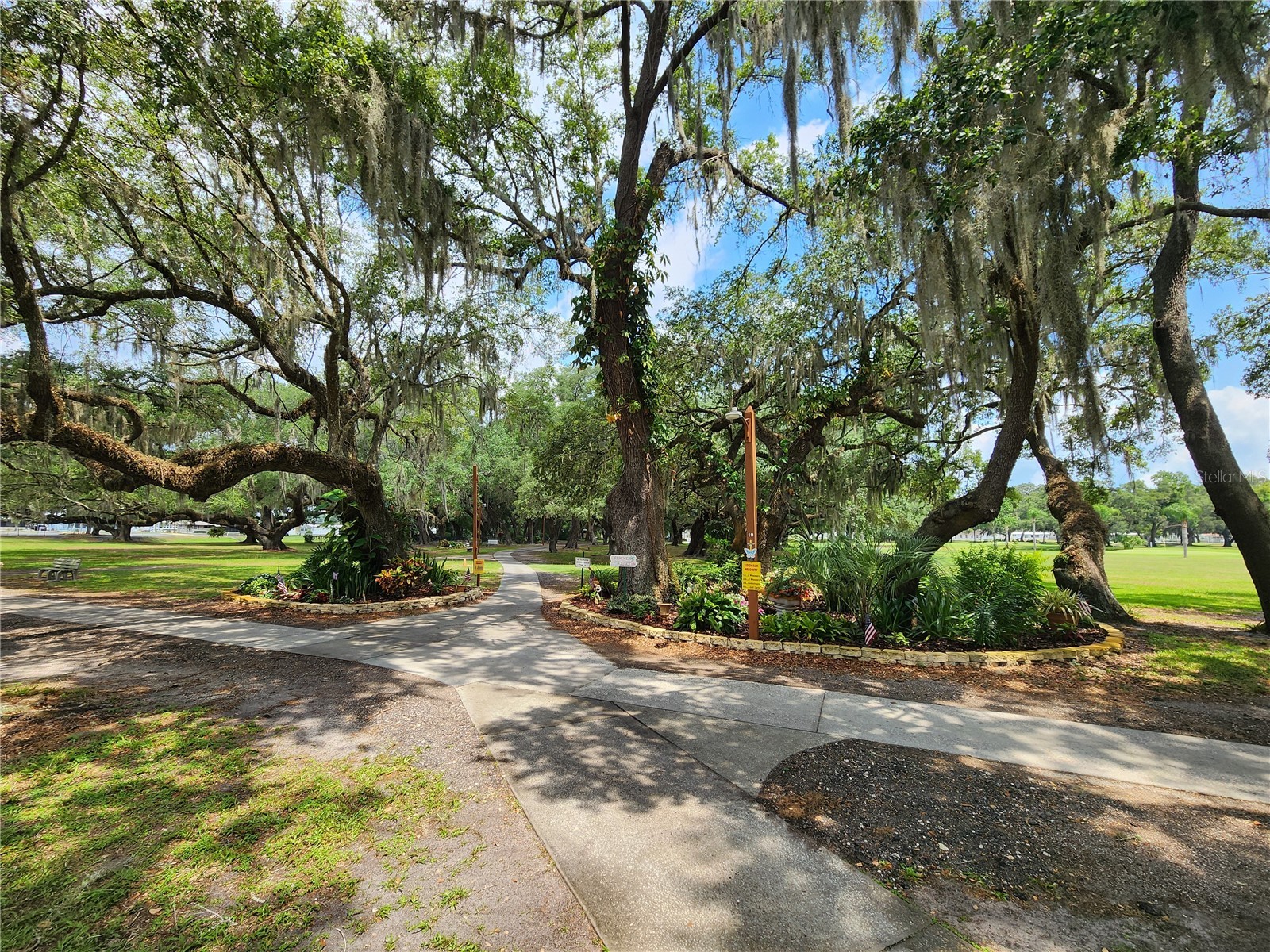 37251 Lois Avenue Zephyrhills FL 33542 TB8500623 image45