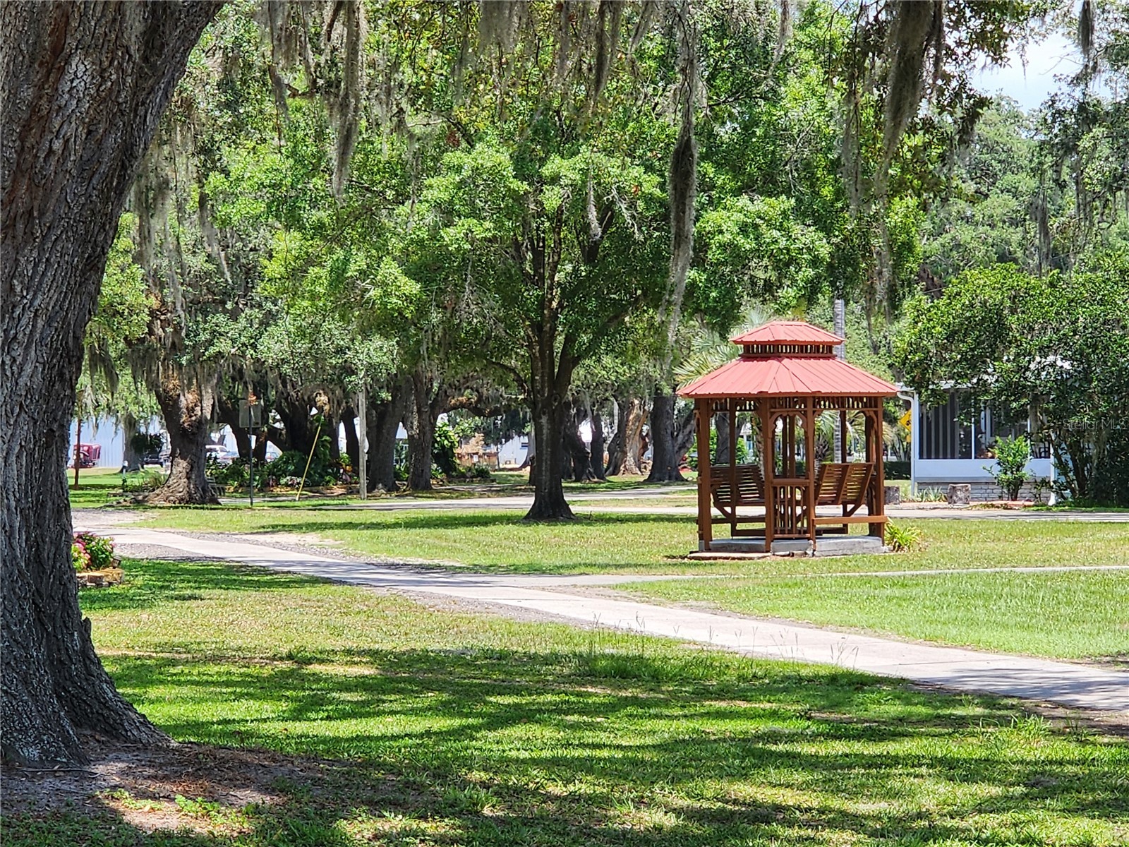37251 Lois Avenue Zephyrhills FL 33542 TB8500623 image46