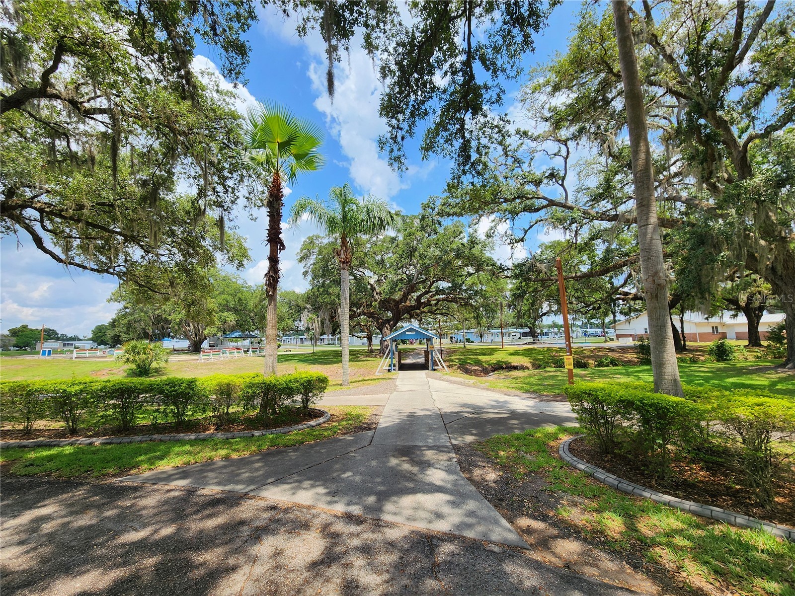 37251 Lois Avenue Zephyrhills FL 33542 TB8500623 image47