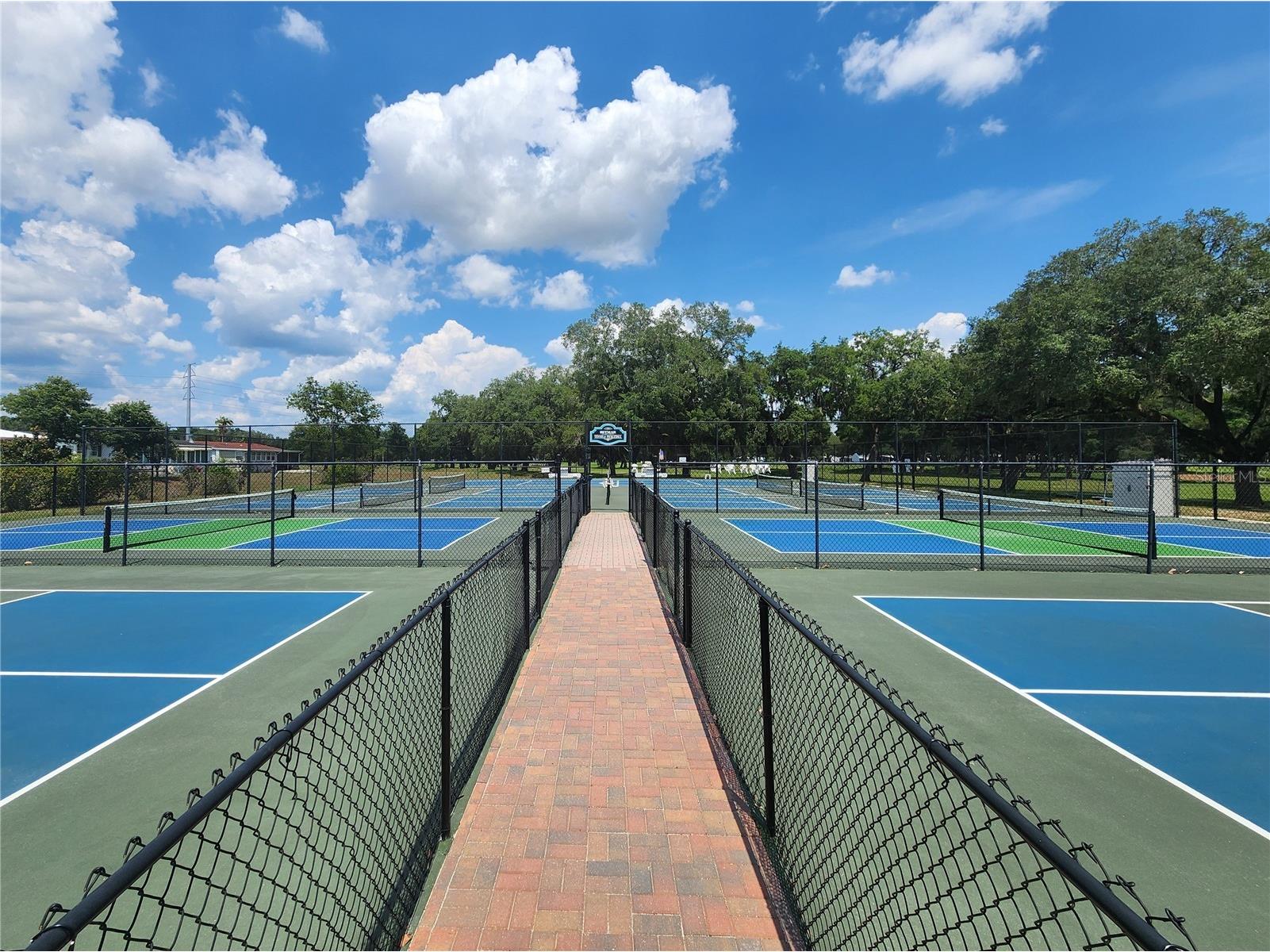 37251 Lois Avenue Zephyrhills FL 33542 TB8500623 image60