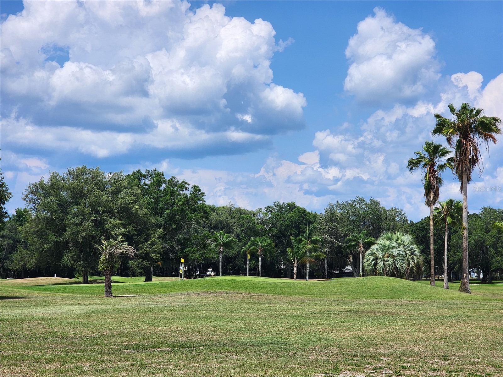 37251 Lois Avenue Zephyrhills FL 33542 TB8500623 image62