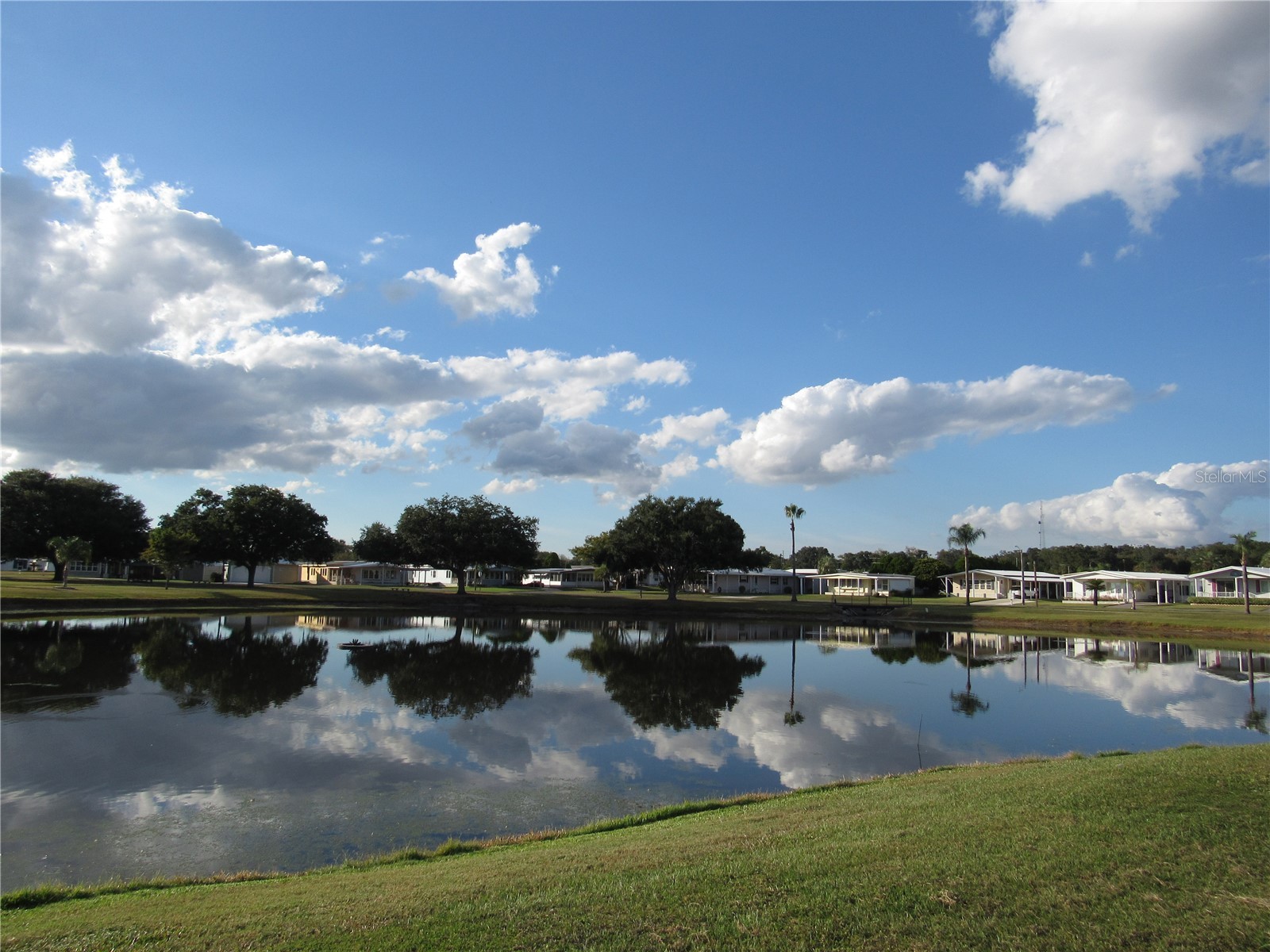 37251 Lois Avenue Zephyrhills FL 33542 TB8500623 image63