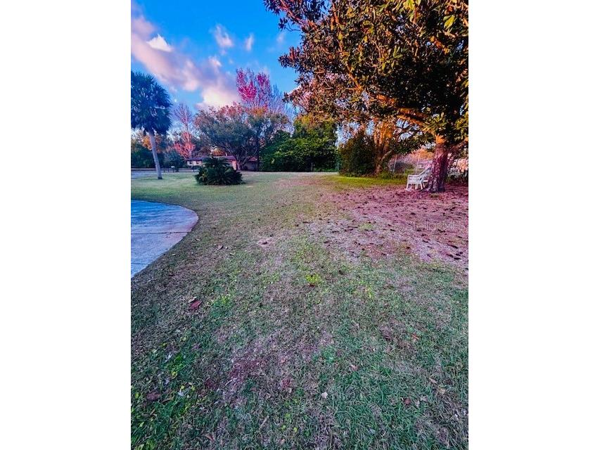 37252 Hilltop Drive Zephyrhills FL 33541 TB8461435 image33