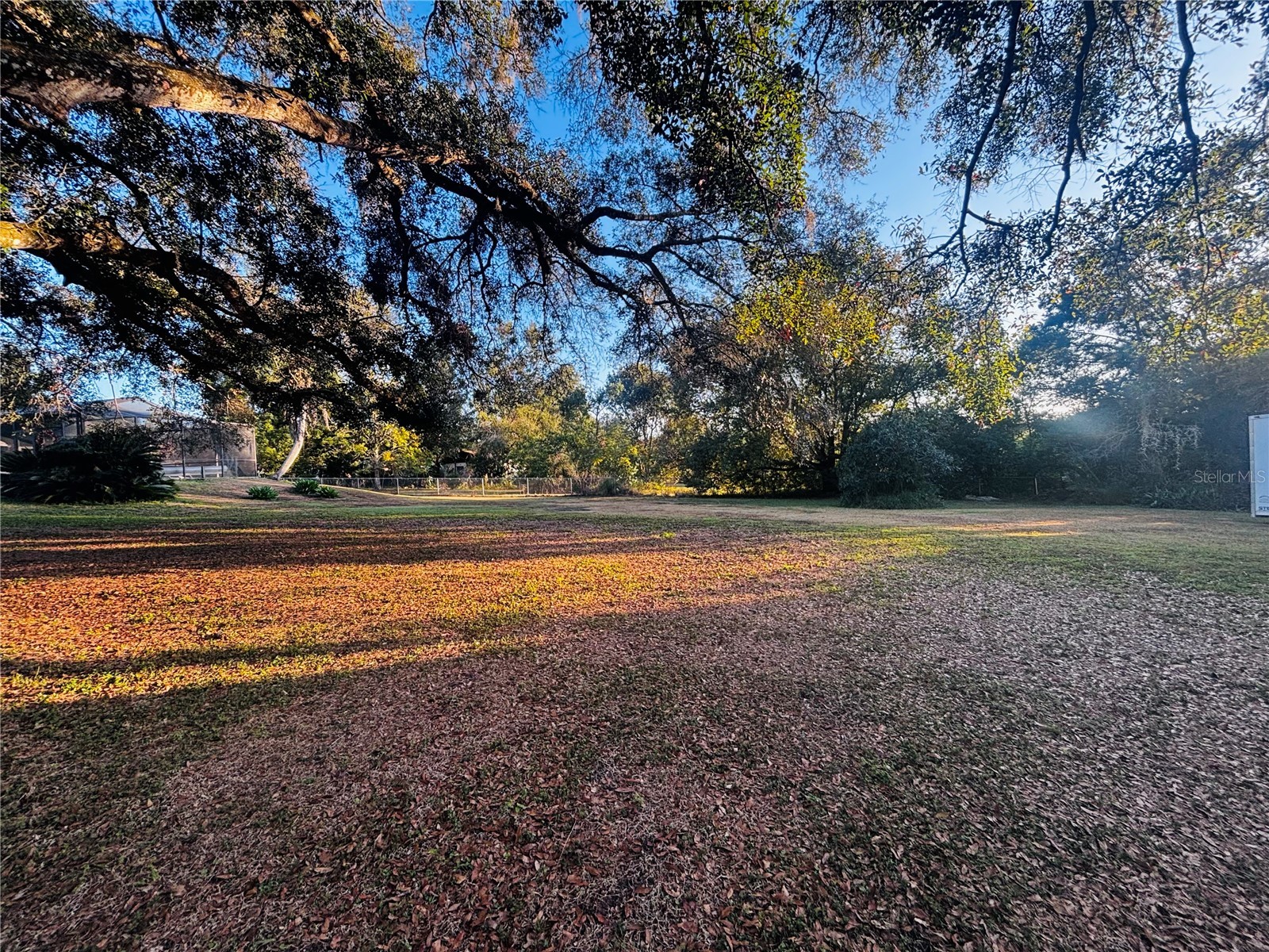 37252 Hilltop Drive Zephyrhills FL 33541 TB8461435 image4