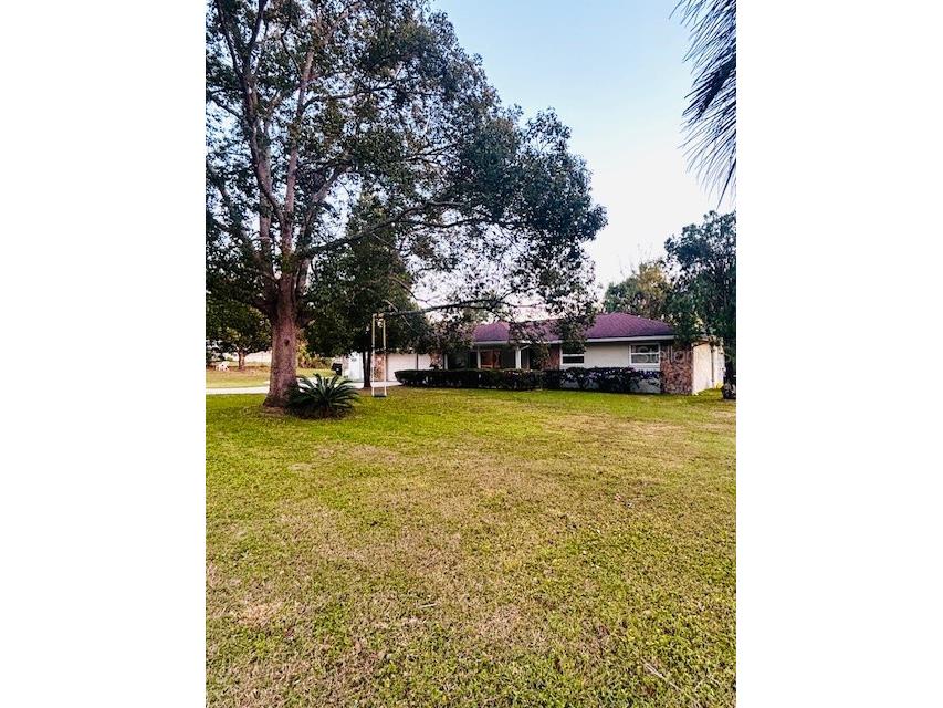 37252 Hilltop Drive Zephyrhills FL 33541 TB8461435 image40