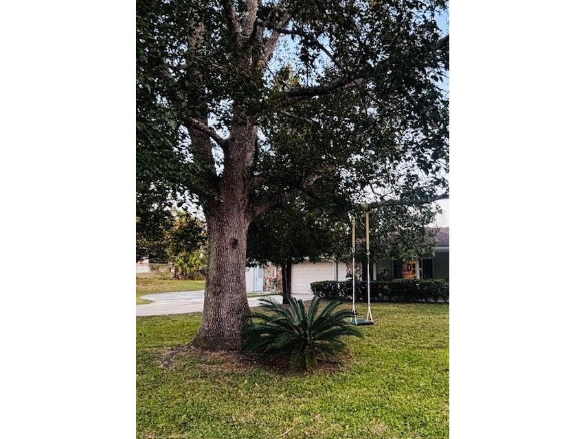 37252 Hilltop Drive Zephyrhills FL 33541 TB8461435 image41