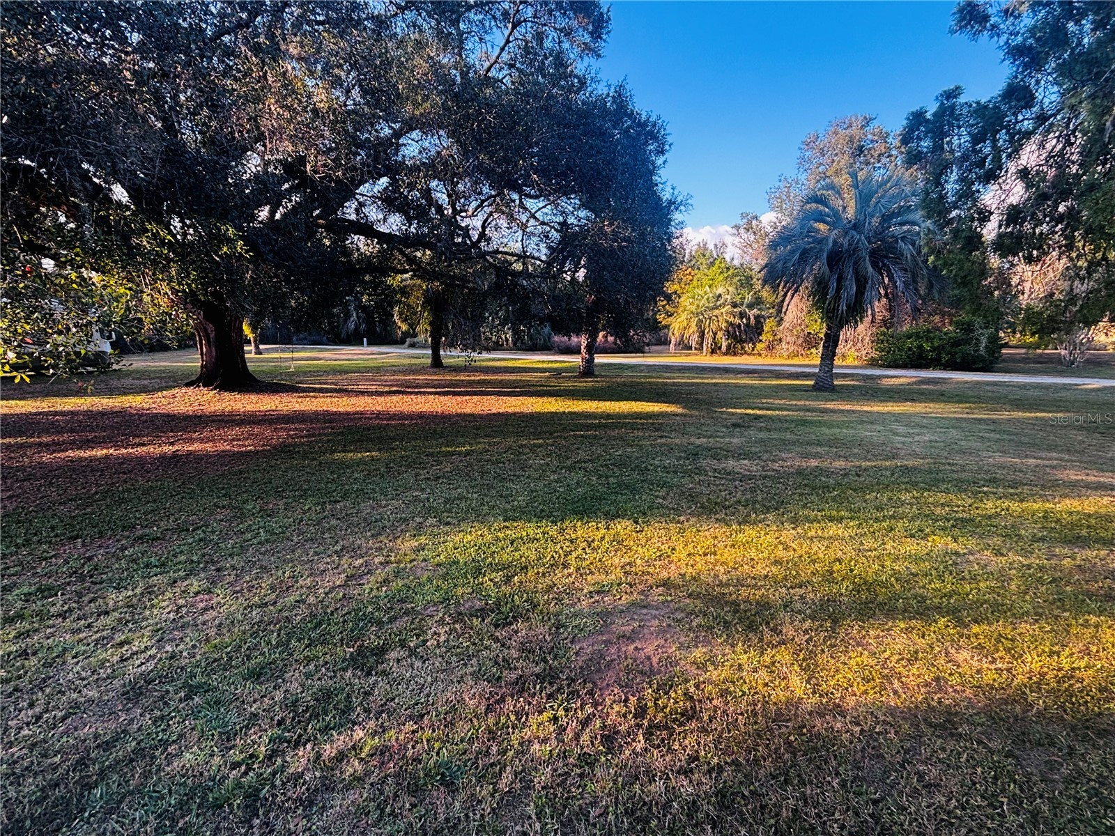 37252 Hilltop Drive Zephyrhills FL 33541 TB8461435 image48