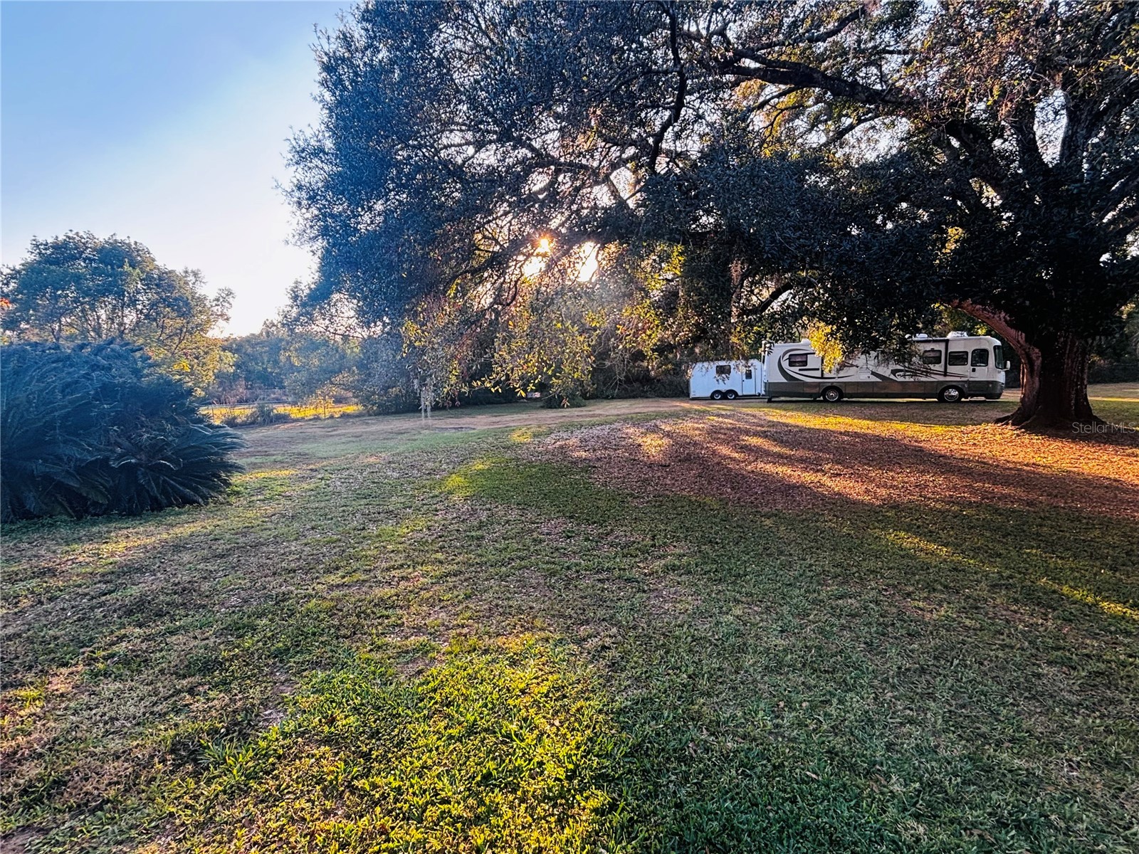 37252 Hilltop Drive Zephyrhills FL 33541 TB8461435 image49