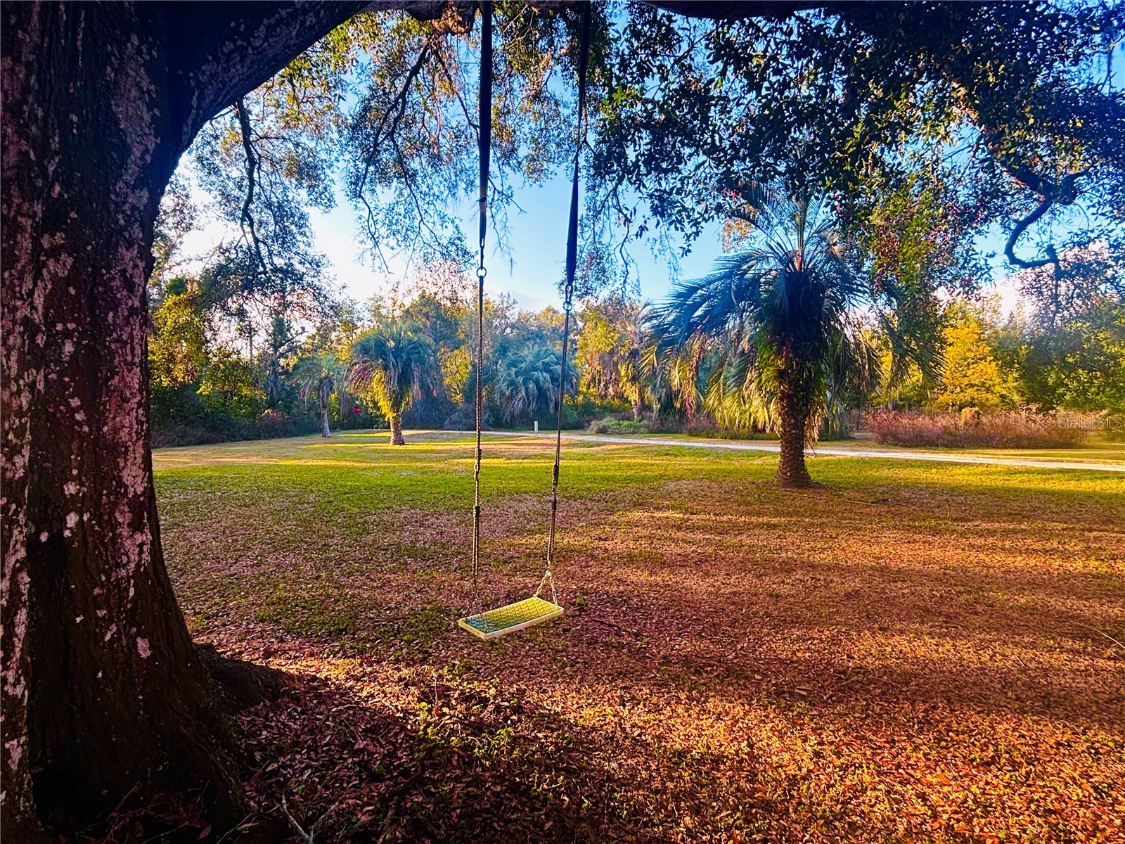 37252 Hilltop Drive Zephyrhills FL 33541 TB8461435 image50