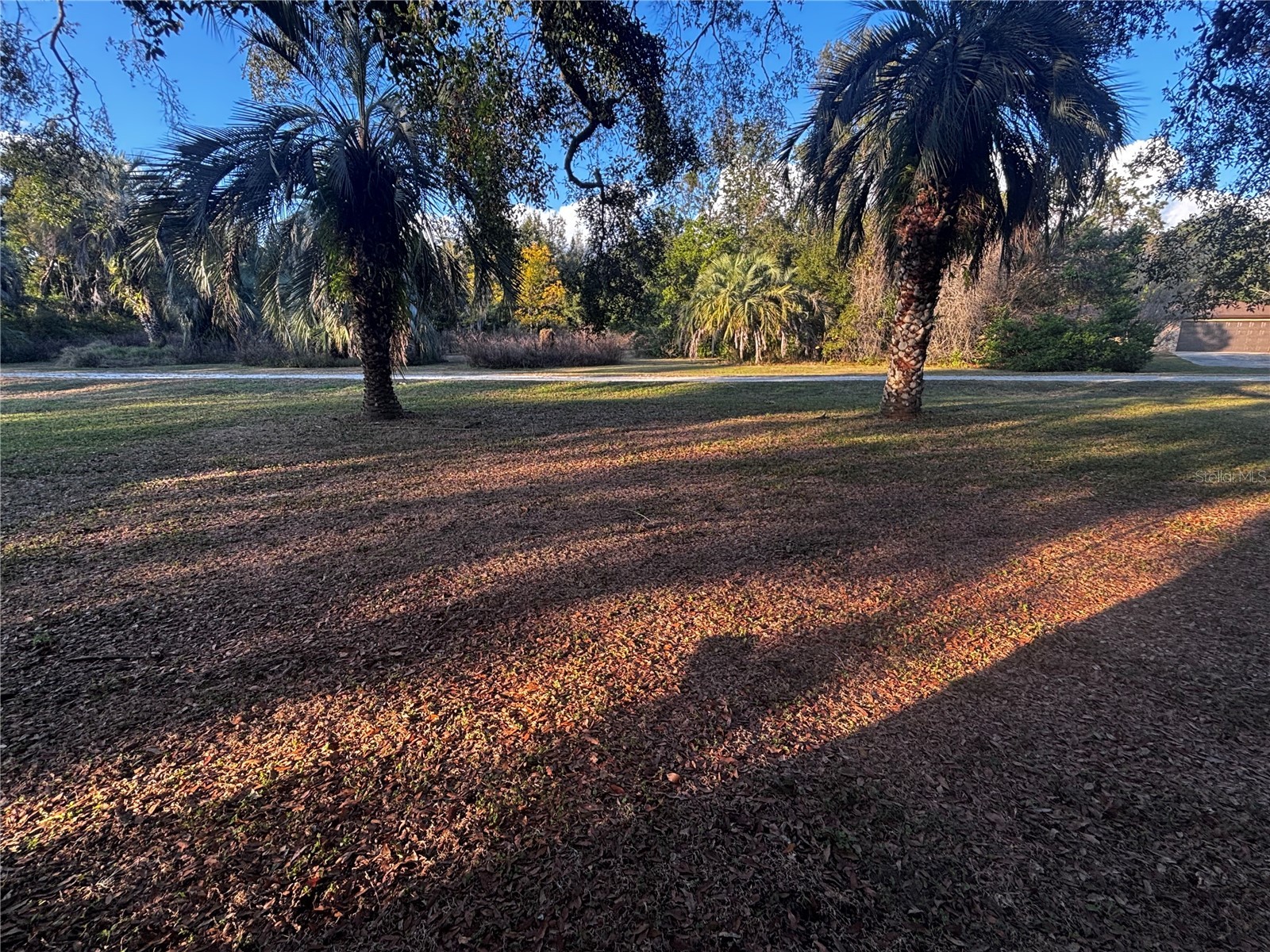 37252 Hilltop Drive Zephyrhills FL 33541 TB8461435 image51