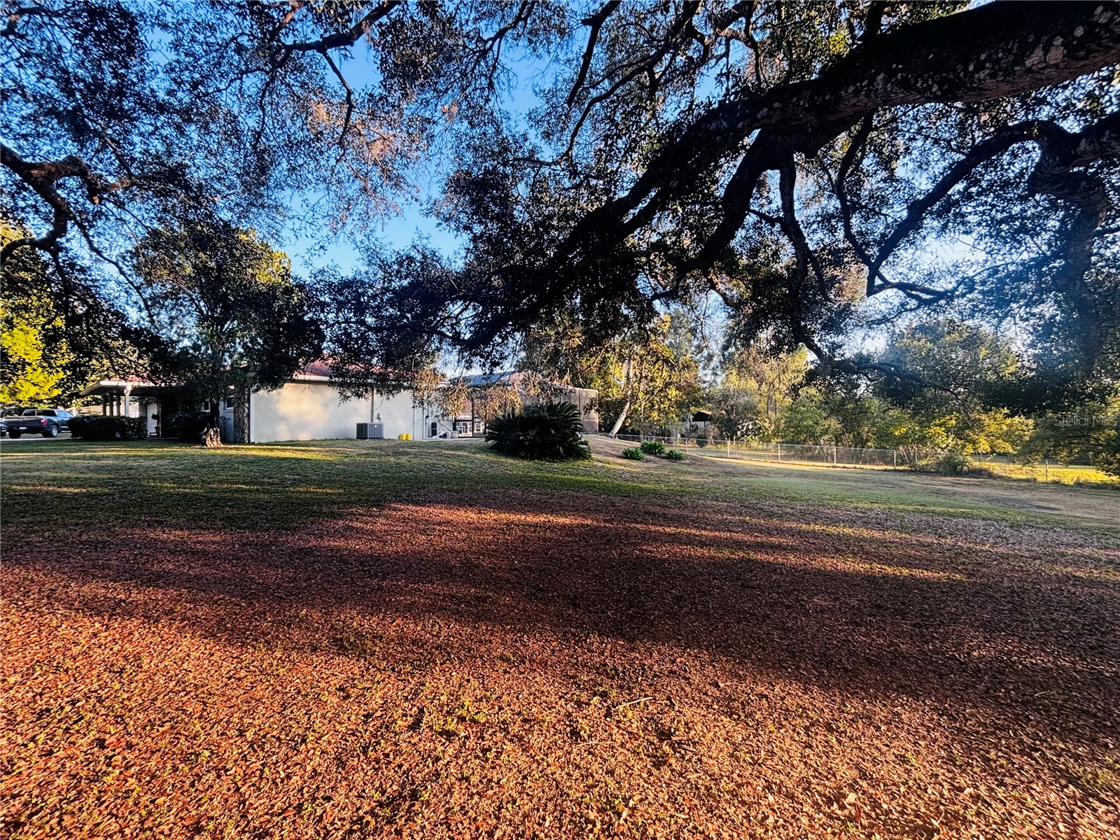 37252 Hilltop Drive Zephyrhills FL 33541 TB8461435 image52