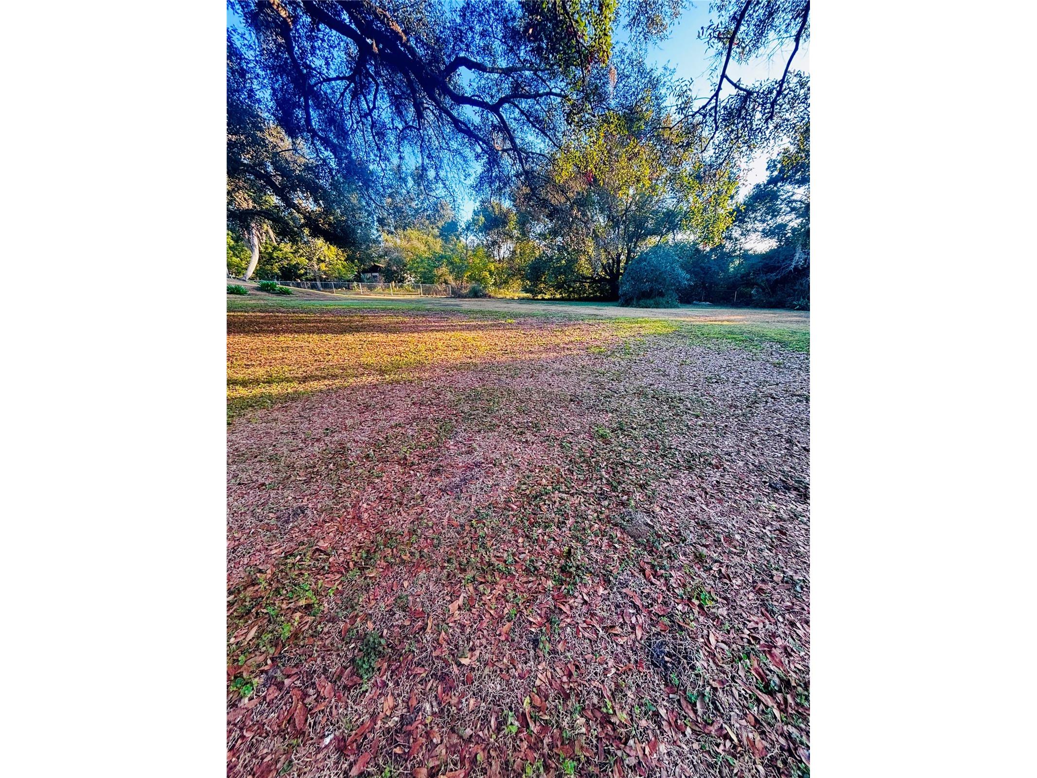 37252 Hilltop Drive Zephyrhills FL 33541 TB8461435 image53