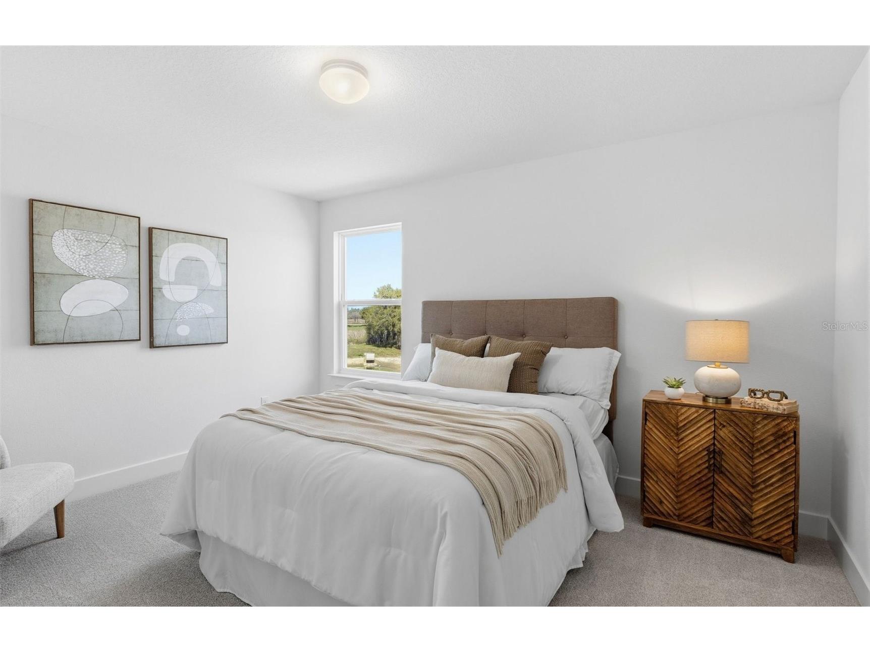 37253 Gunnison Drive Zephyrhills FL 33540 TB8487496 image14