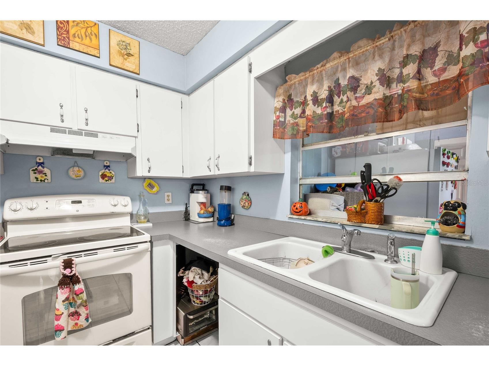 37253 Safari Drive Dade City FL 33523 TB8513801 image13