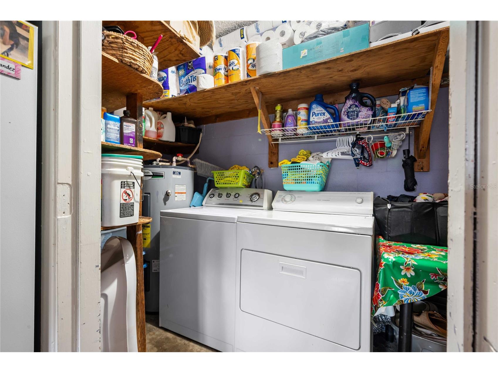 37253 Safari Drive Dade City FL 33523 TB8513801 image20