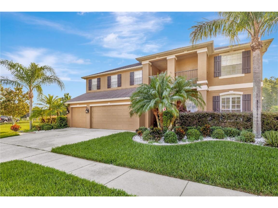 3726 Duke Firth Street Land O Lakes FL 34638 W7857202 image1