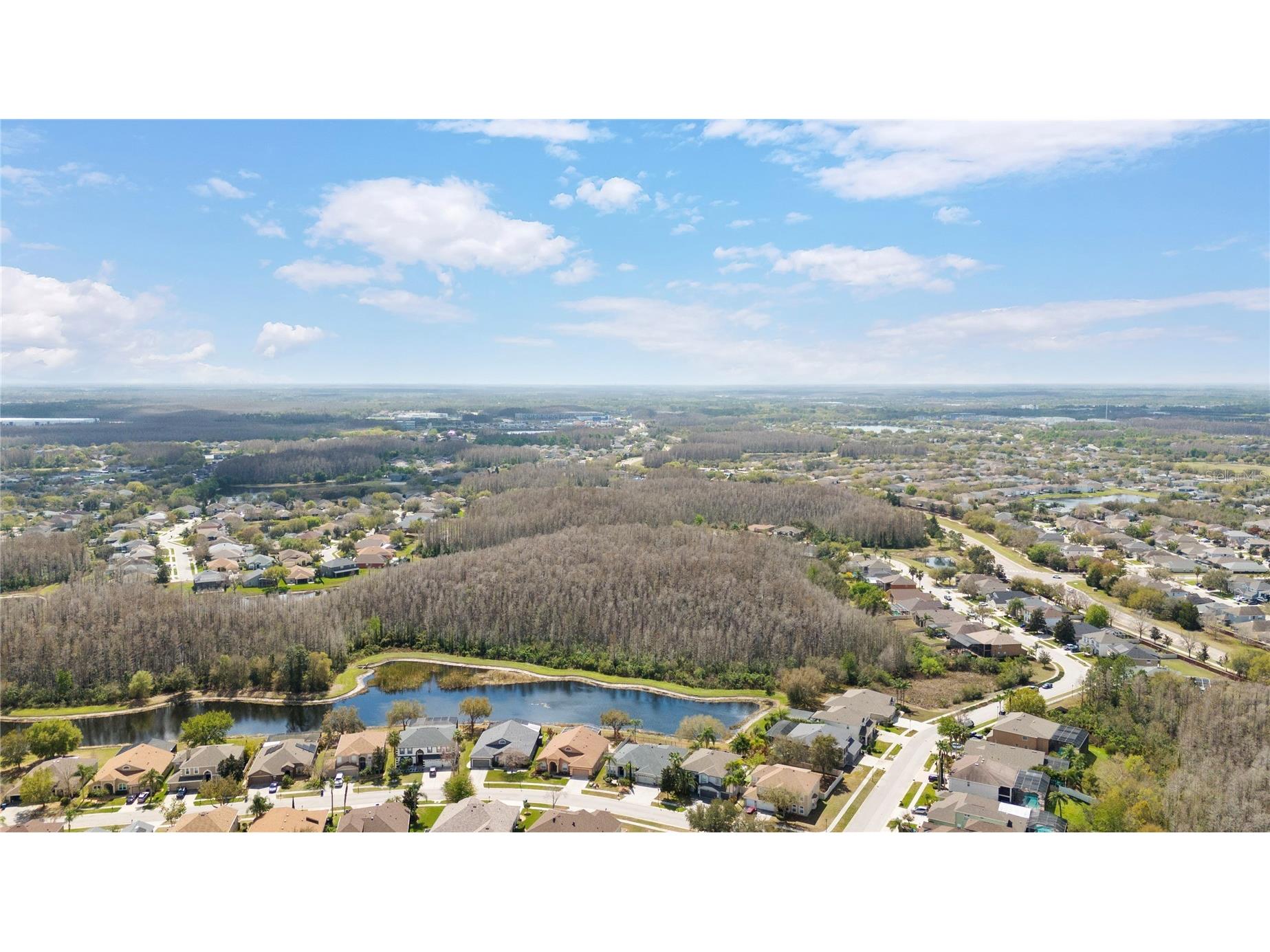 3726 Duke Firth Street Land O Lakes FL 34638 TB8484570 image72