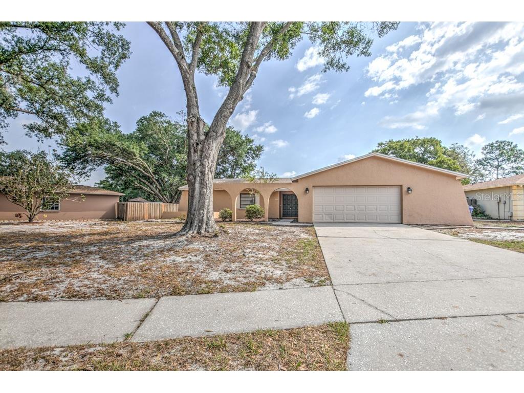 3726 Greenford Street Valrico FL 33596 T3440625 image1
