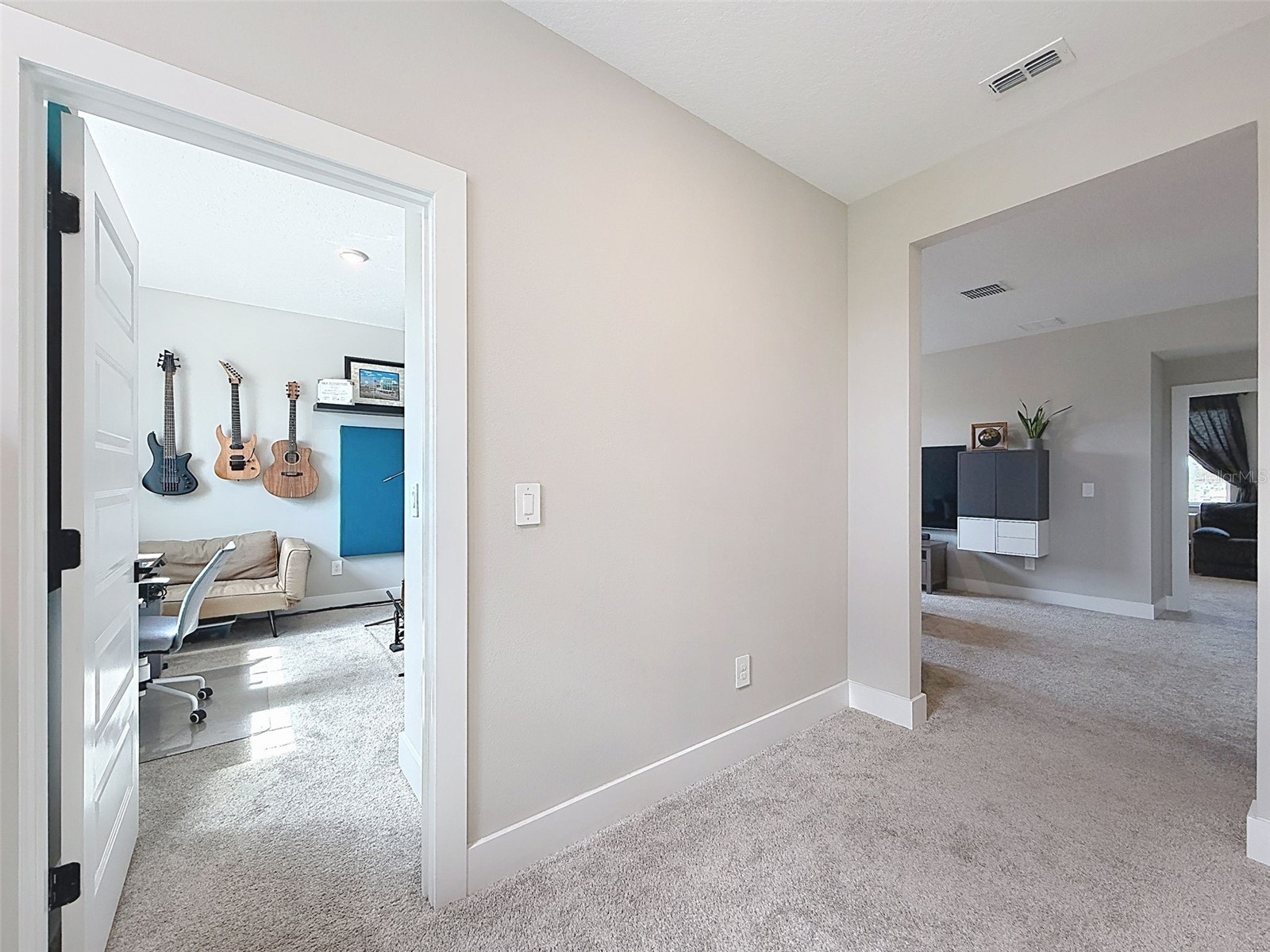 3726 Savanna Palms Court Bradenton FL 34211 W7885938 image53