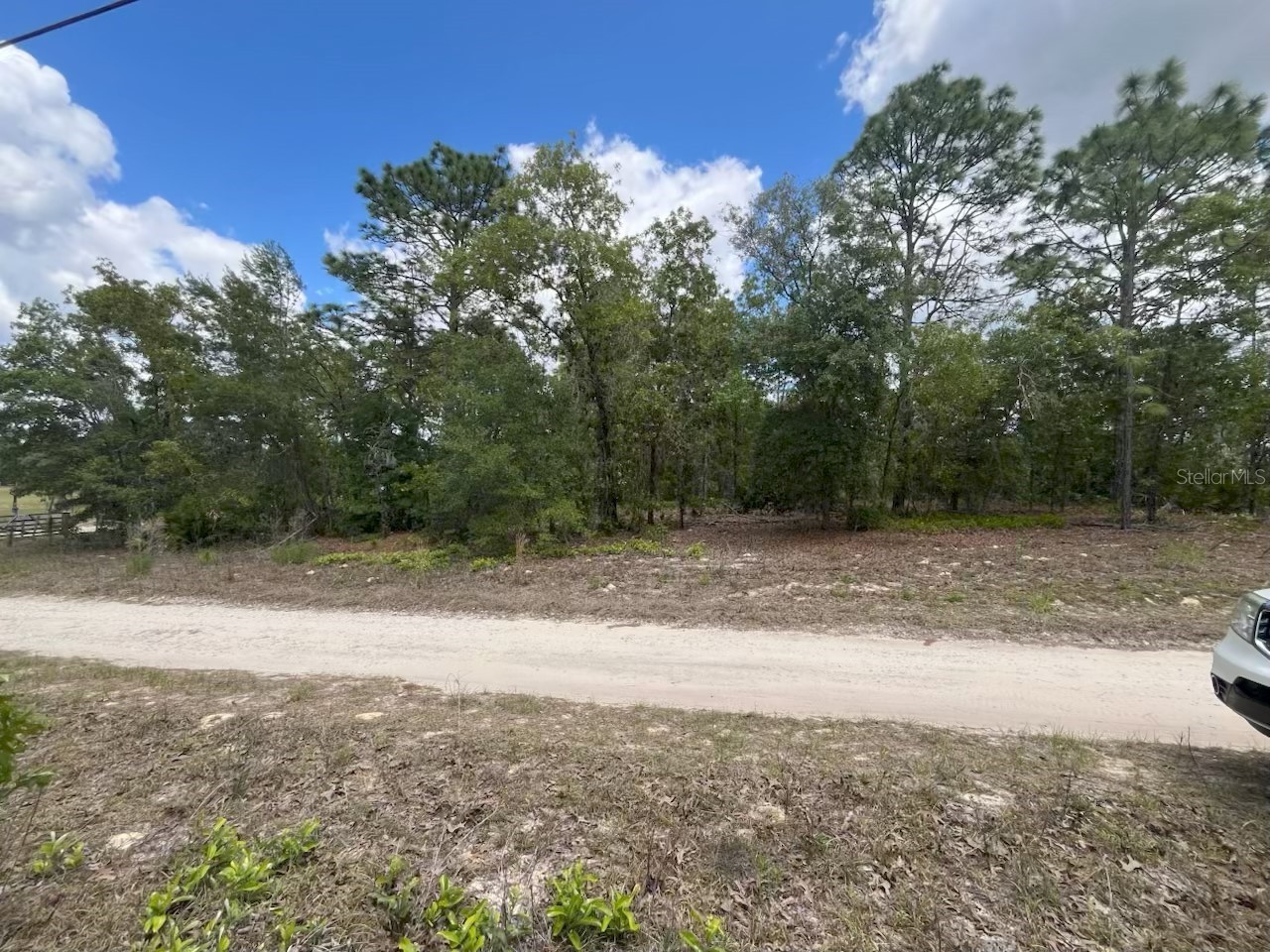 3726 W Spoon Wood Court Dunnellon FL 34433 W7885449 image1