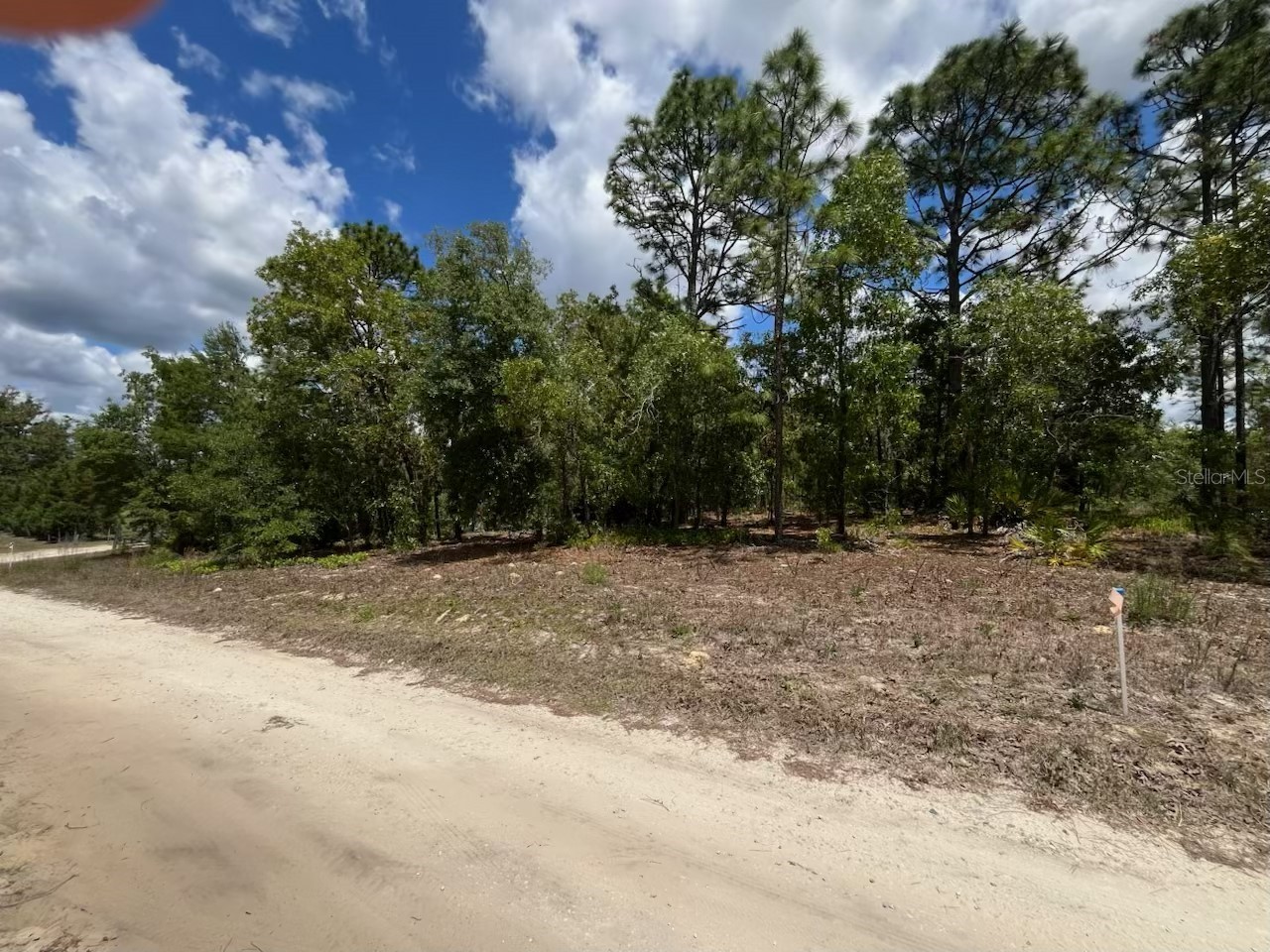 3726 W Spoon Wood Court Dunnellon FL 34433 W7885449 image2