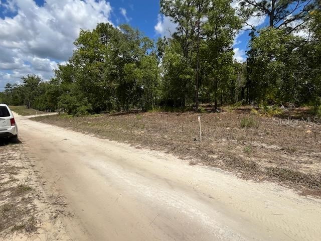 3726 W Spoon Wood Court Dunnellon FL 34433 W7885449 image4