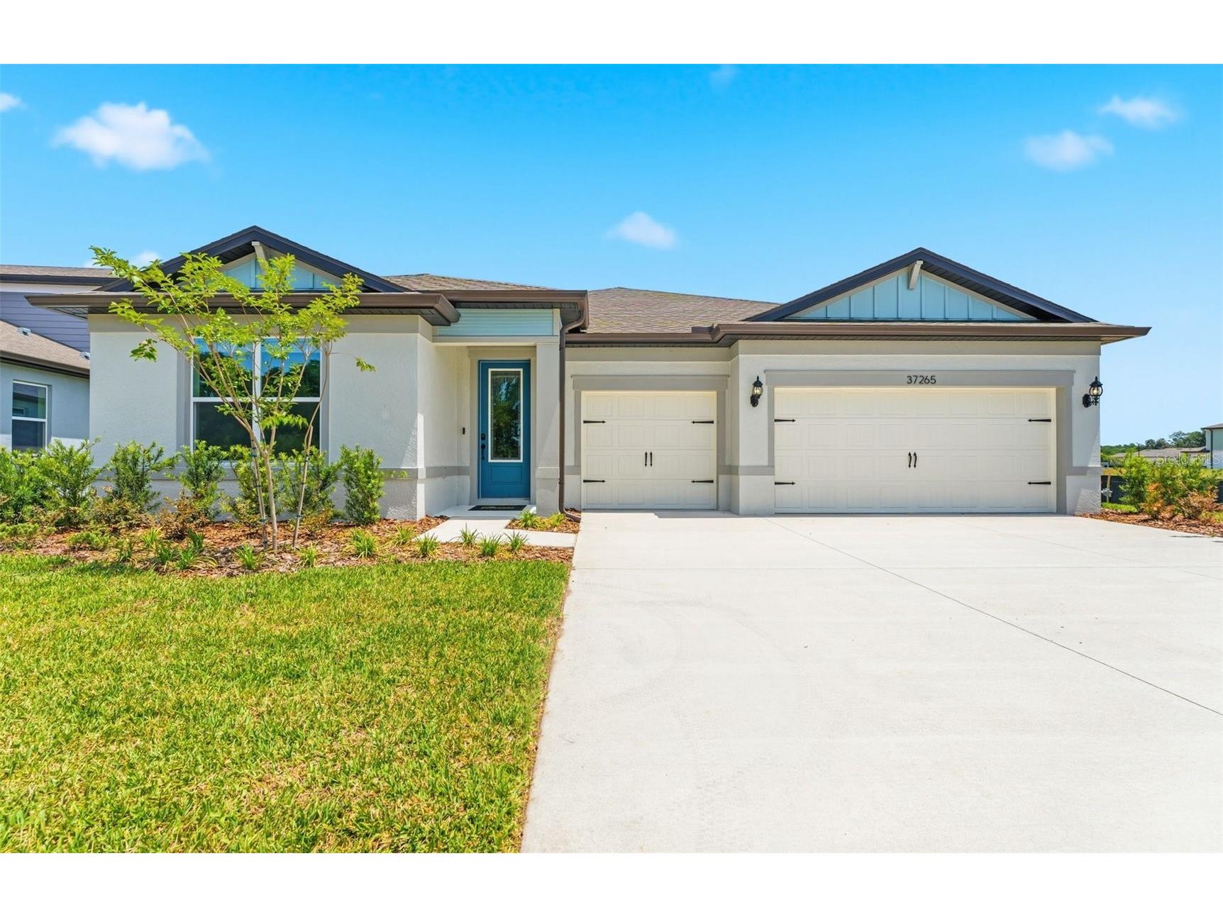 37265 Gunnison Drive Zephyrhills FL 33540 TB8487599 image1