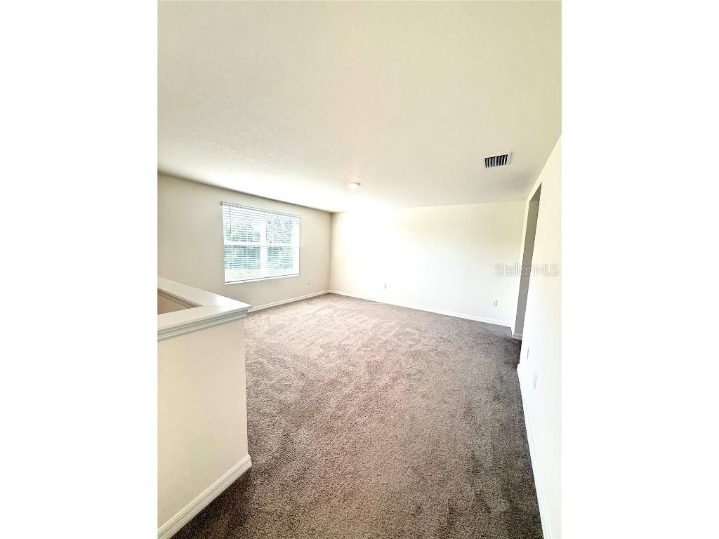 3727 Capri Coast Drive Plant City FL 33565 O6360228 image11