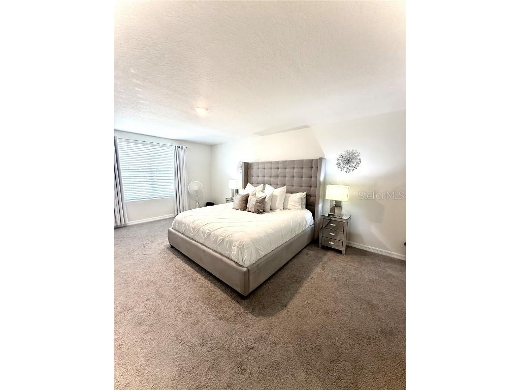 3727 Capri Coast Drive Plant City FL 33565 O6360228 image12