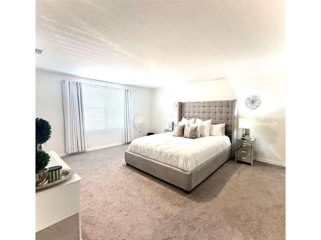 3727 Capri Coast Drive Plant City FL 33565 O6360228 image13