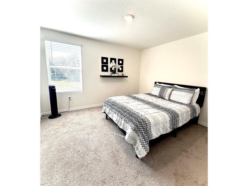 3727 Capri Coast Drive Plant City FL 33565 O6360228 image17