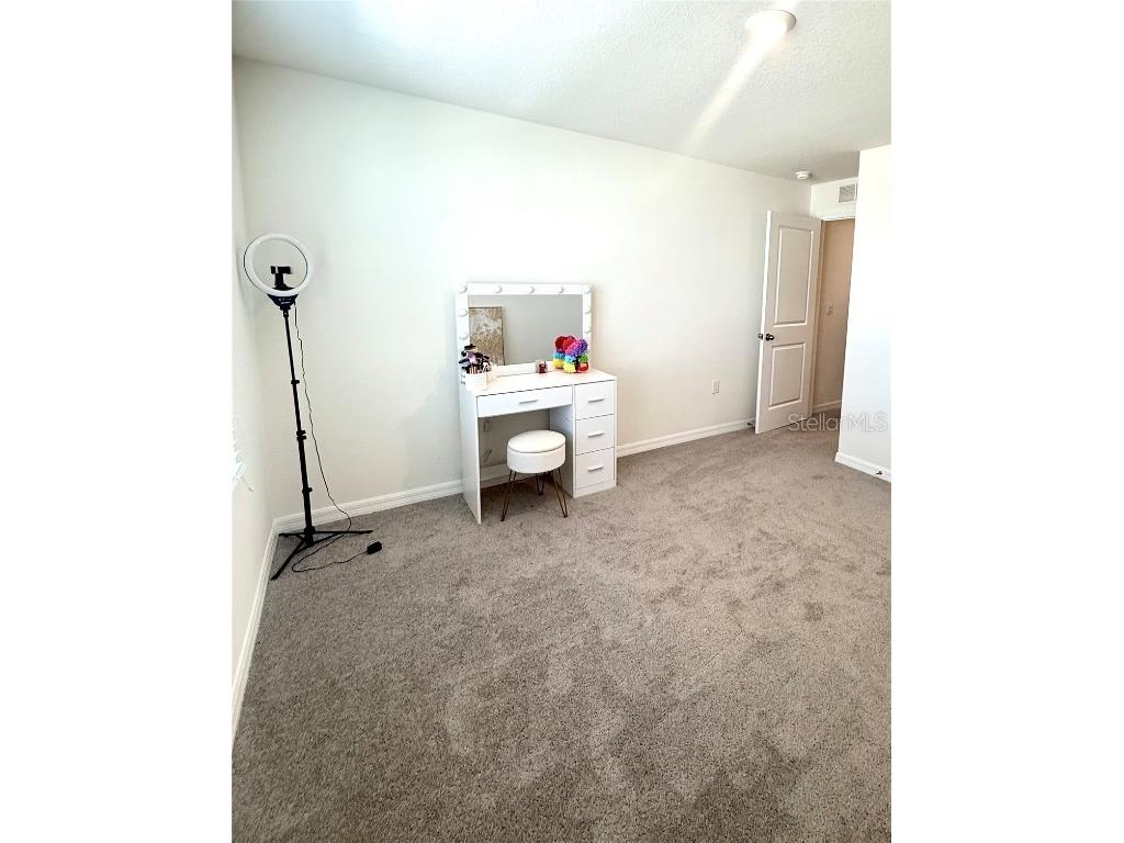 3727 Capri Coast Drive Plant City FL 33565 O6360228 image21