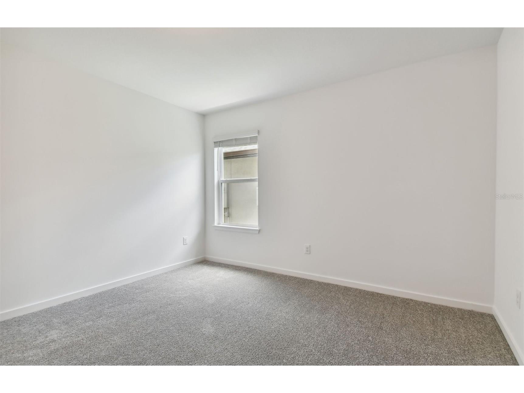 3727 Hornbeam Road Spring Hill FL 34609 TB8487453 image7