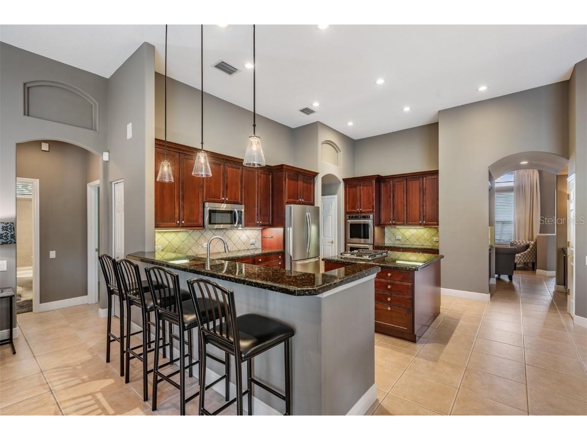 3727 Janus Way Palm Harbor FL 34685 TB8385235 image14