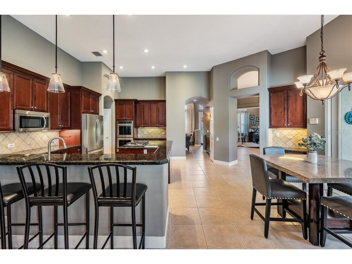 3727 Janus Way Palm Harbor FL 34685 TB8385235 image15